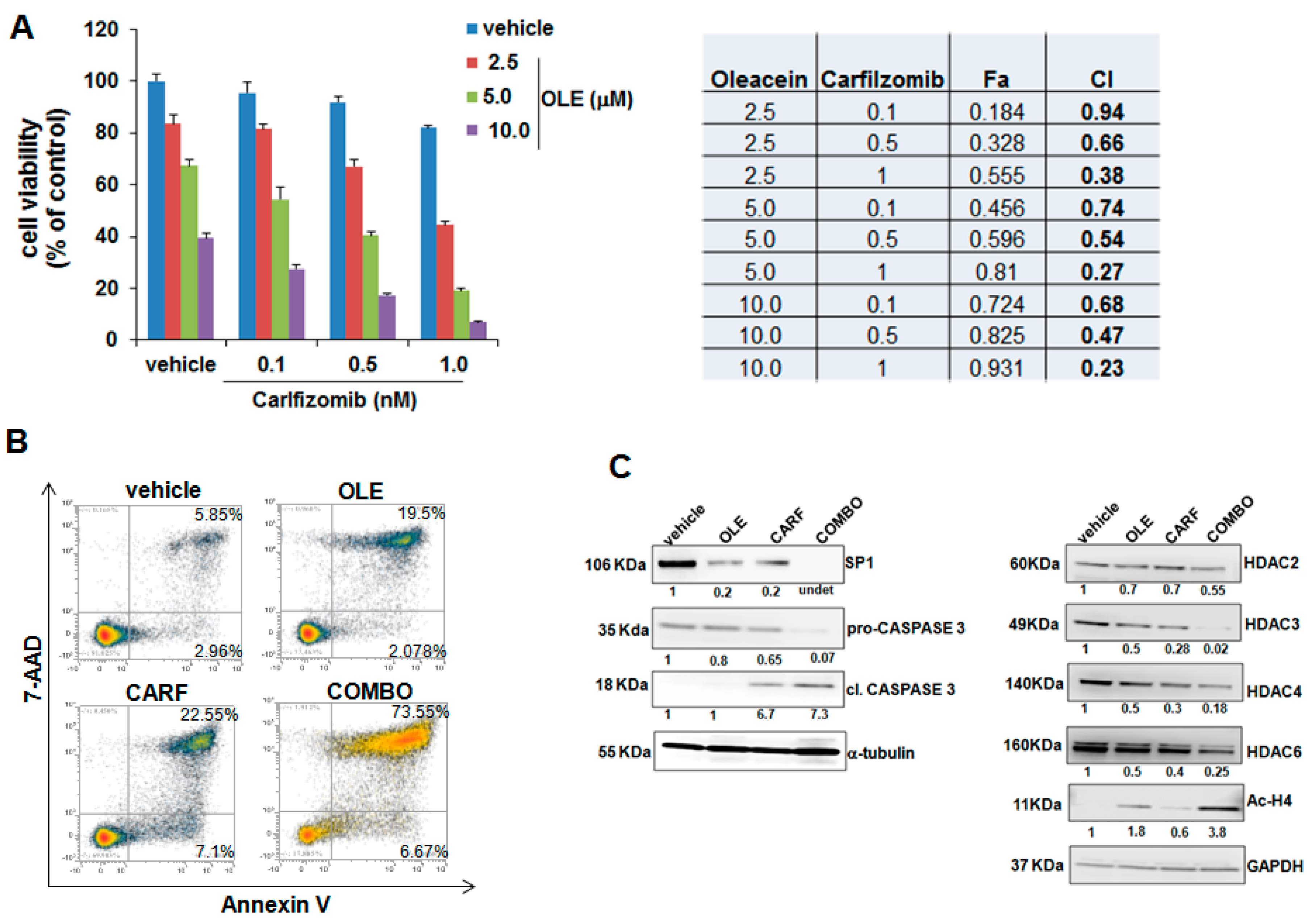 Cancers 11 00990 g005