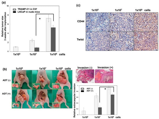 Cancers 11 00992 g0a1