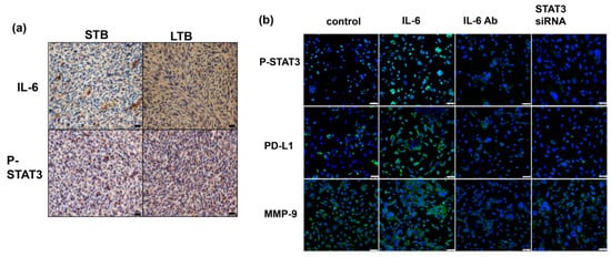 Cancers 11 00992 g0a4