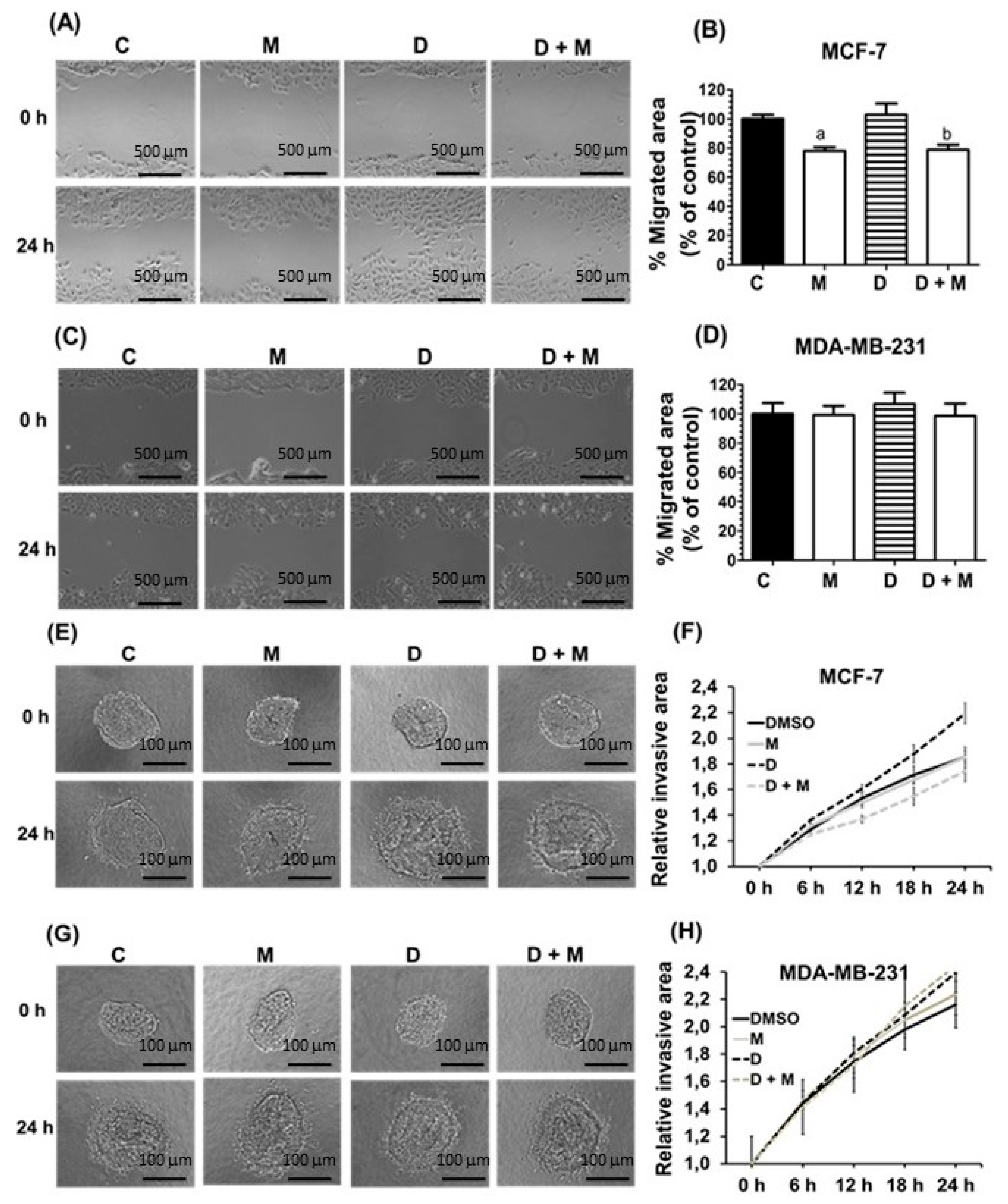 Cancers 11 01011 g002