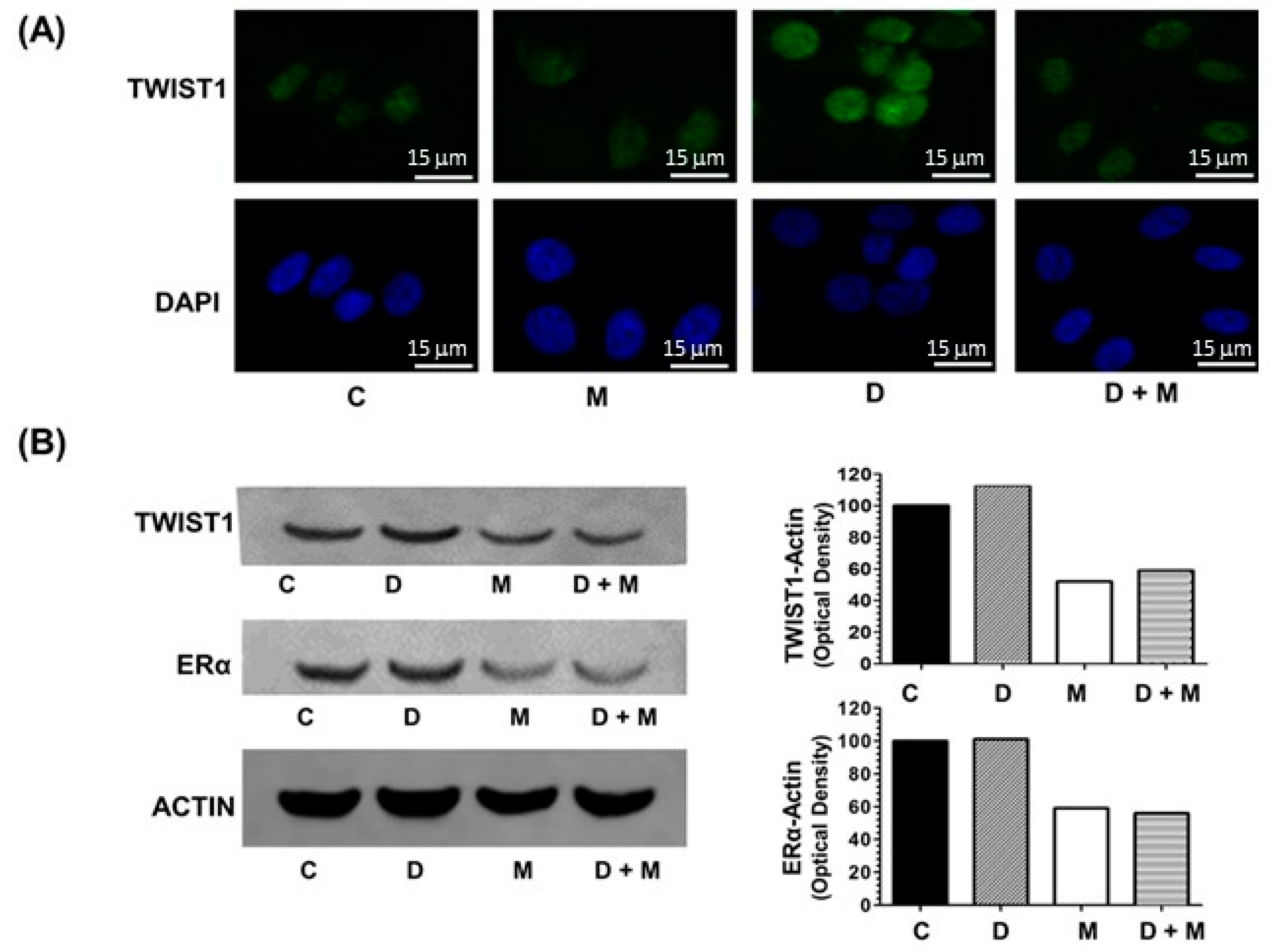 Cancers 11 01011 g004