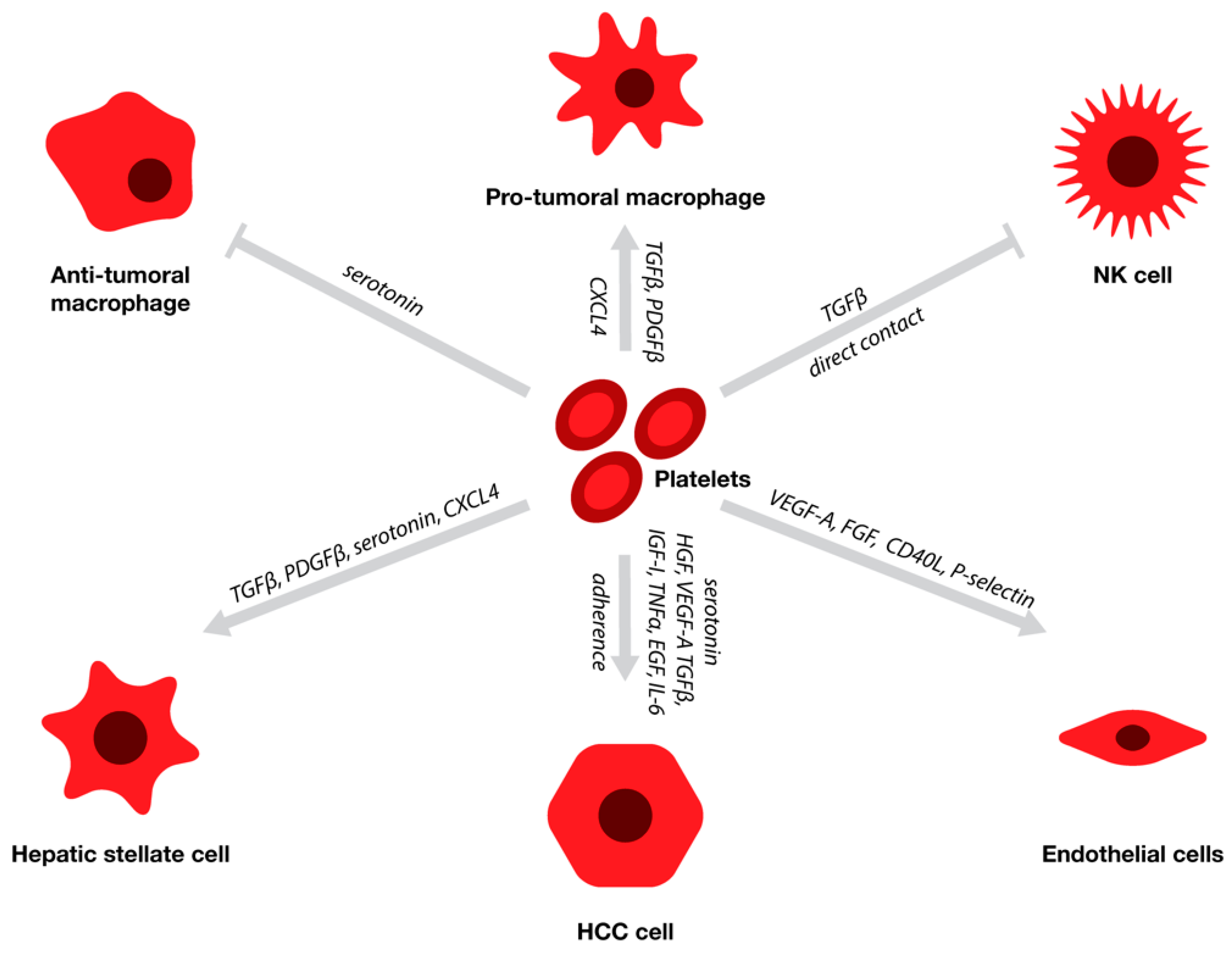 Cancers 11 01022 g001