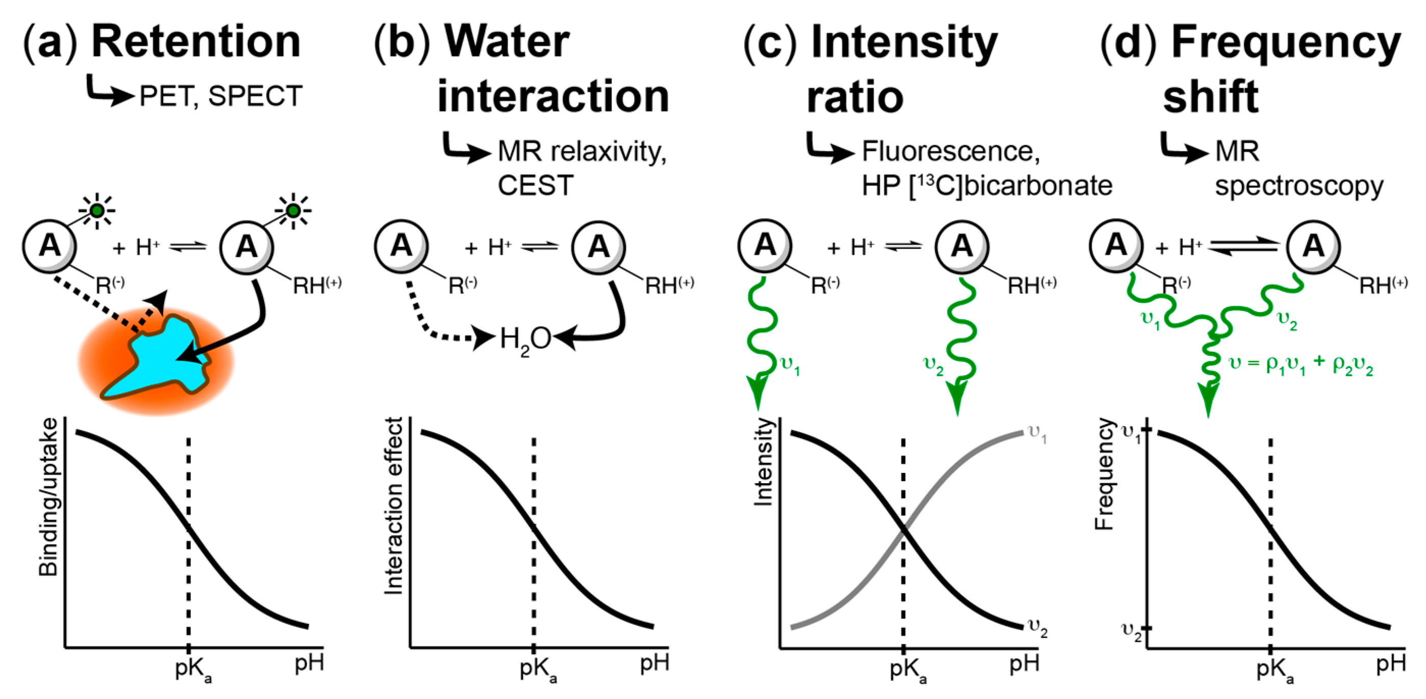 Cancers 11 01026 g002 Cancers 11 01026 g002