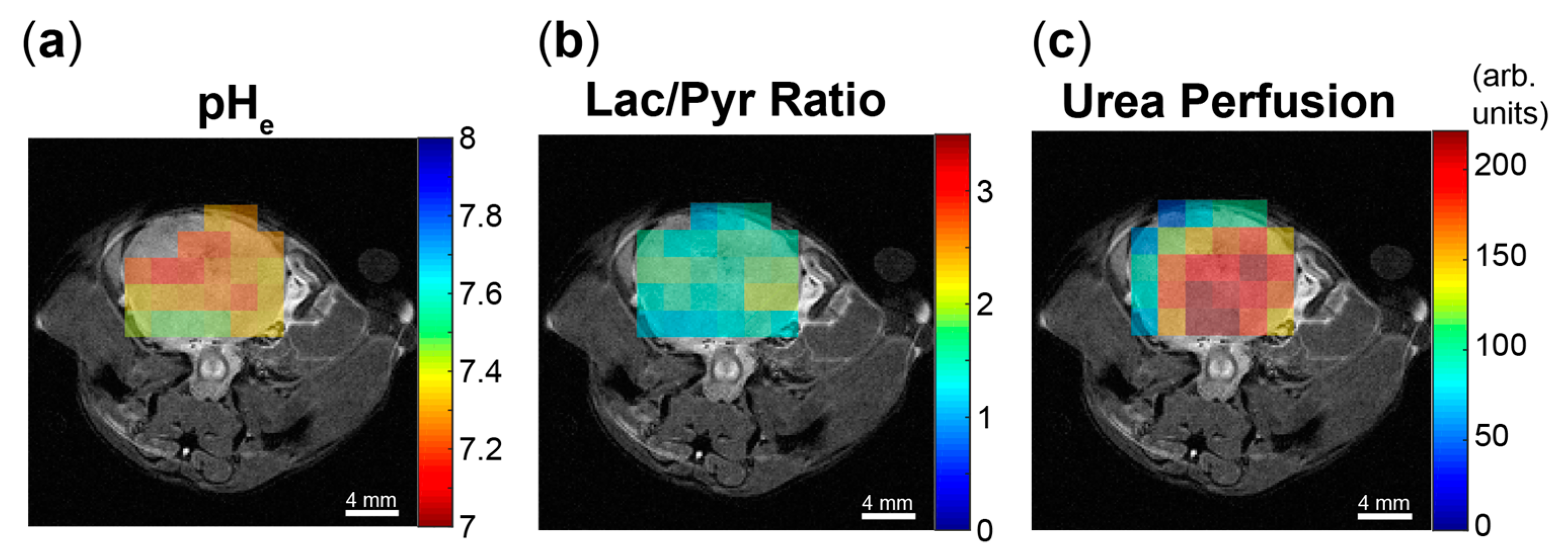 Cancers 11 01026 g003 Cancers 11 01026 g003