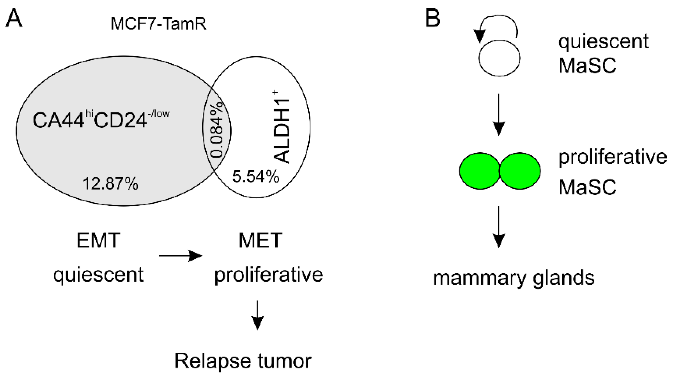 Cancers 11 01028 g002
