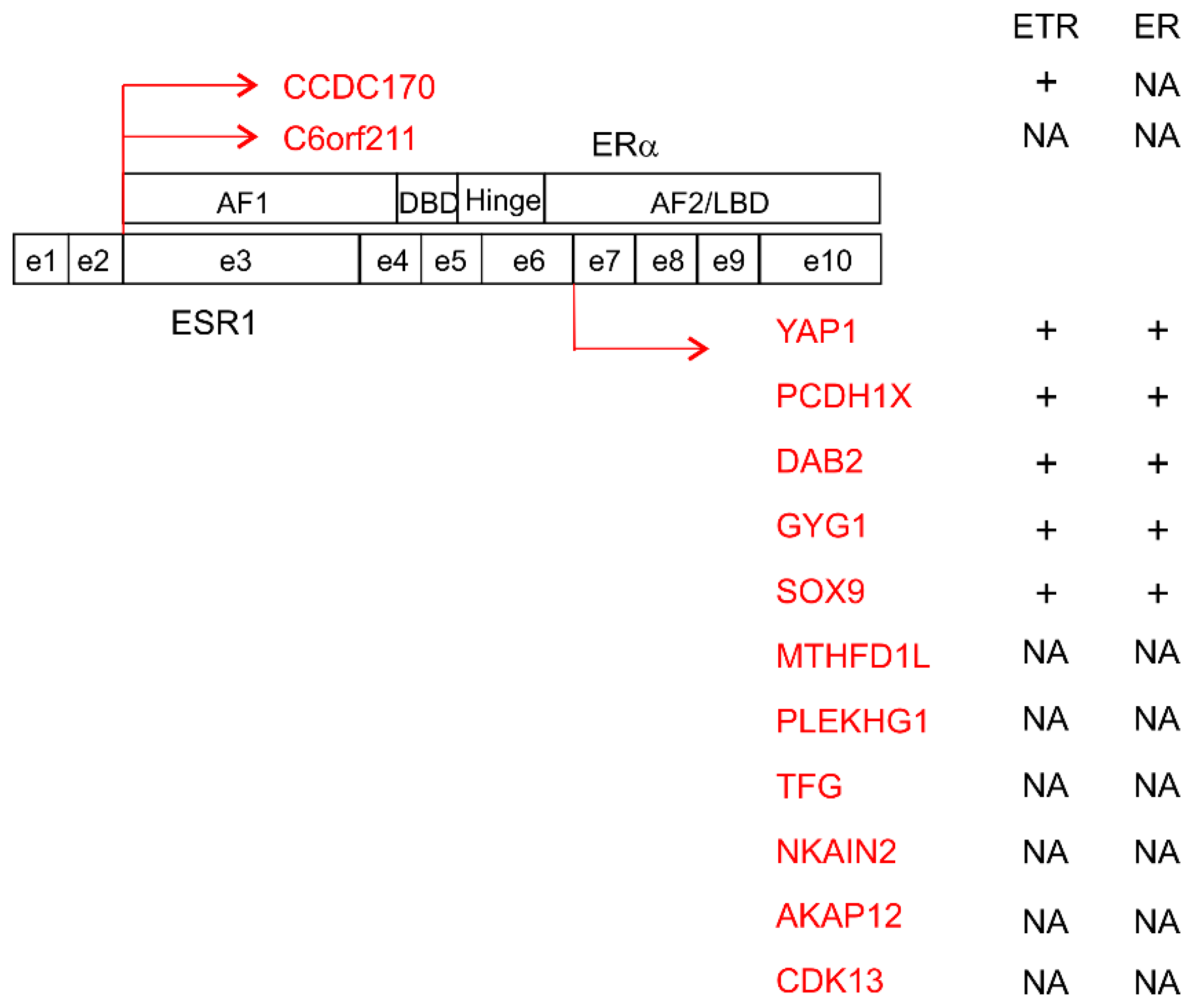 Cancers 11 01028 g004