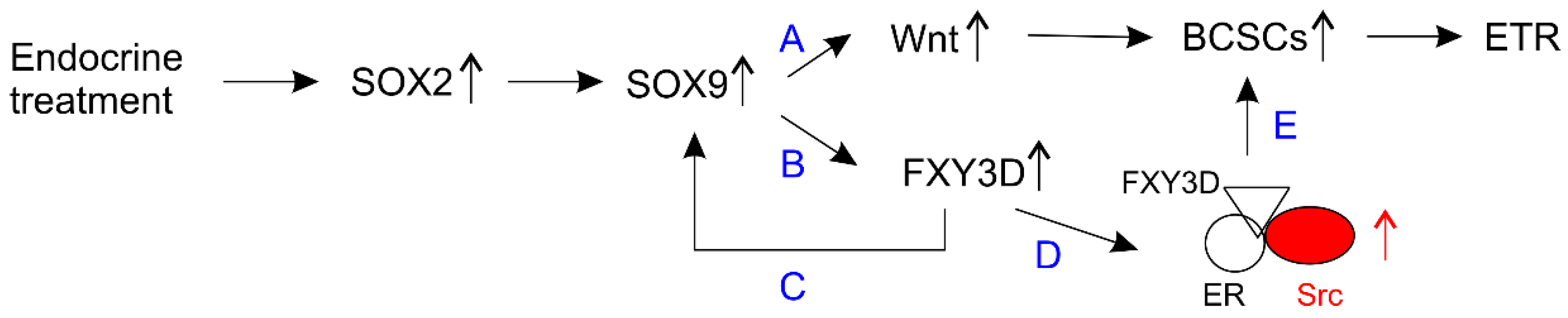 Cancers 11 01028 g005