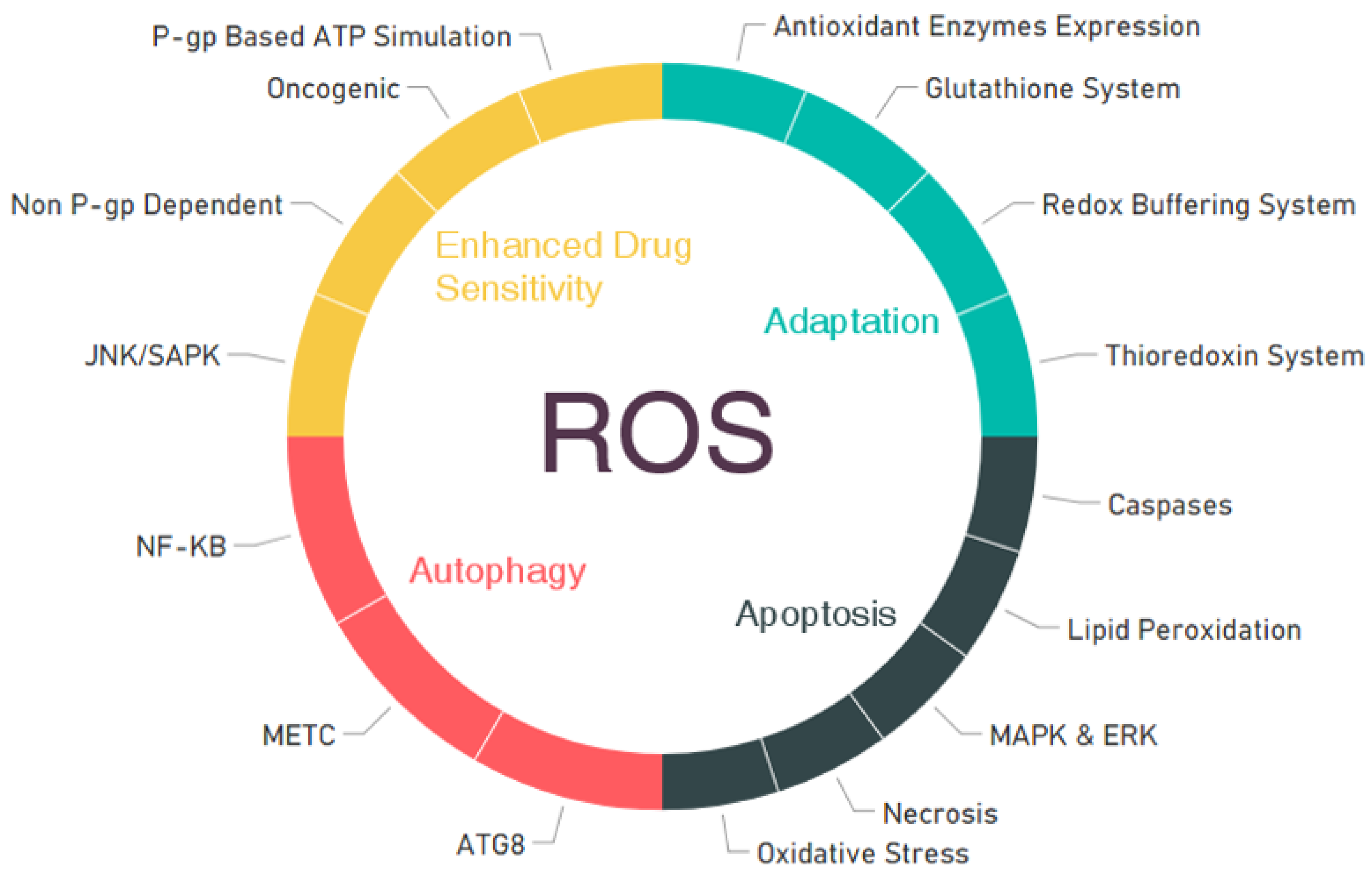 Cancers 11 01030 g003 Cancers 11 01030 g003