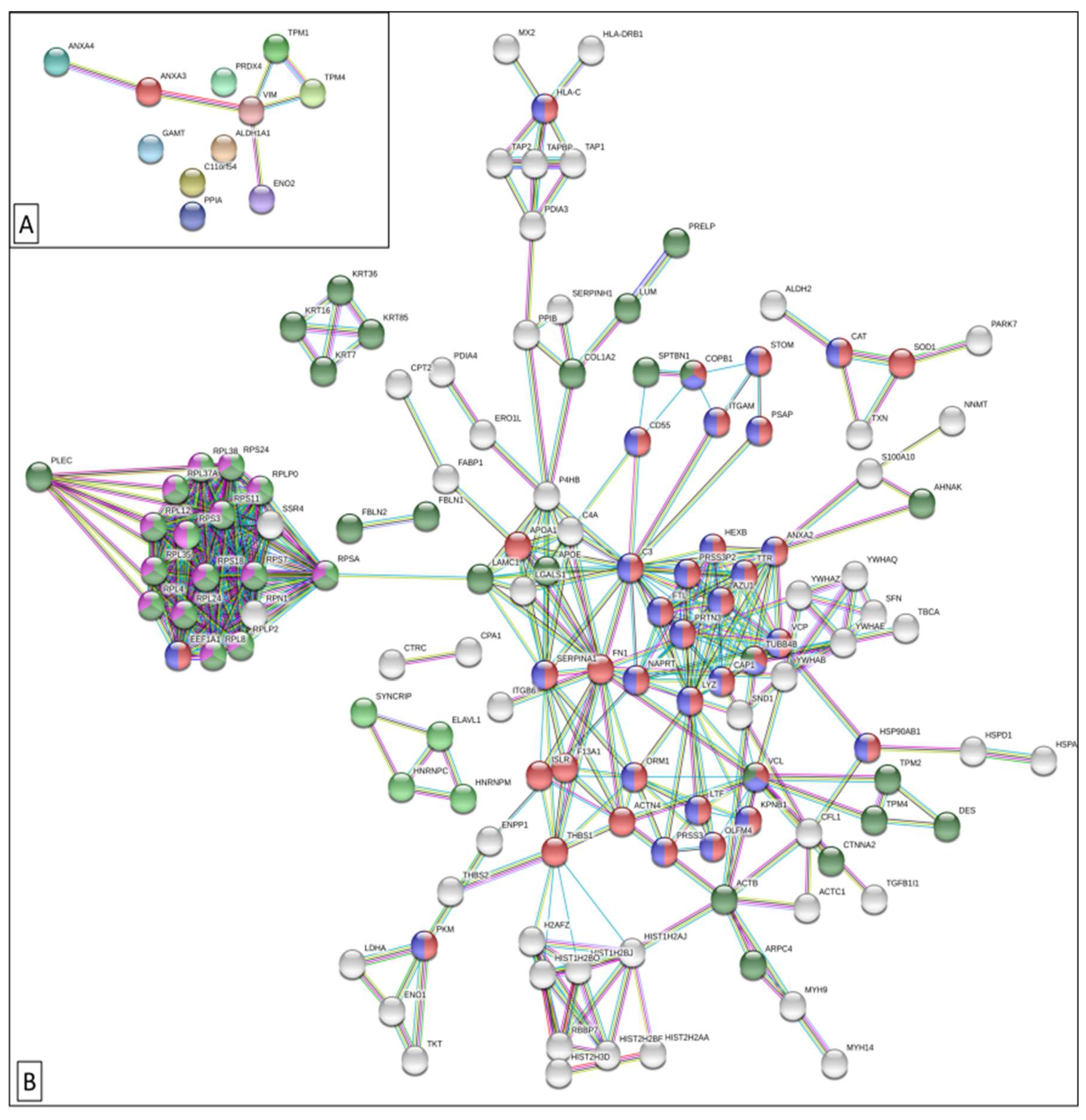 Cancers 11 01052 g001