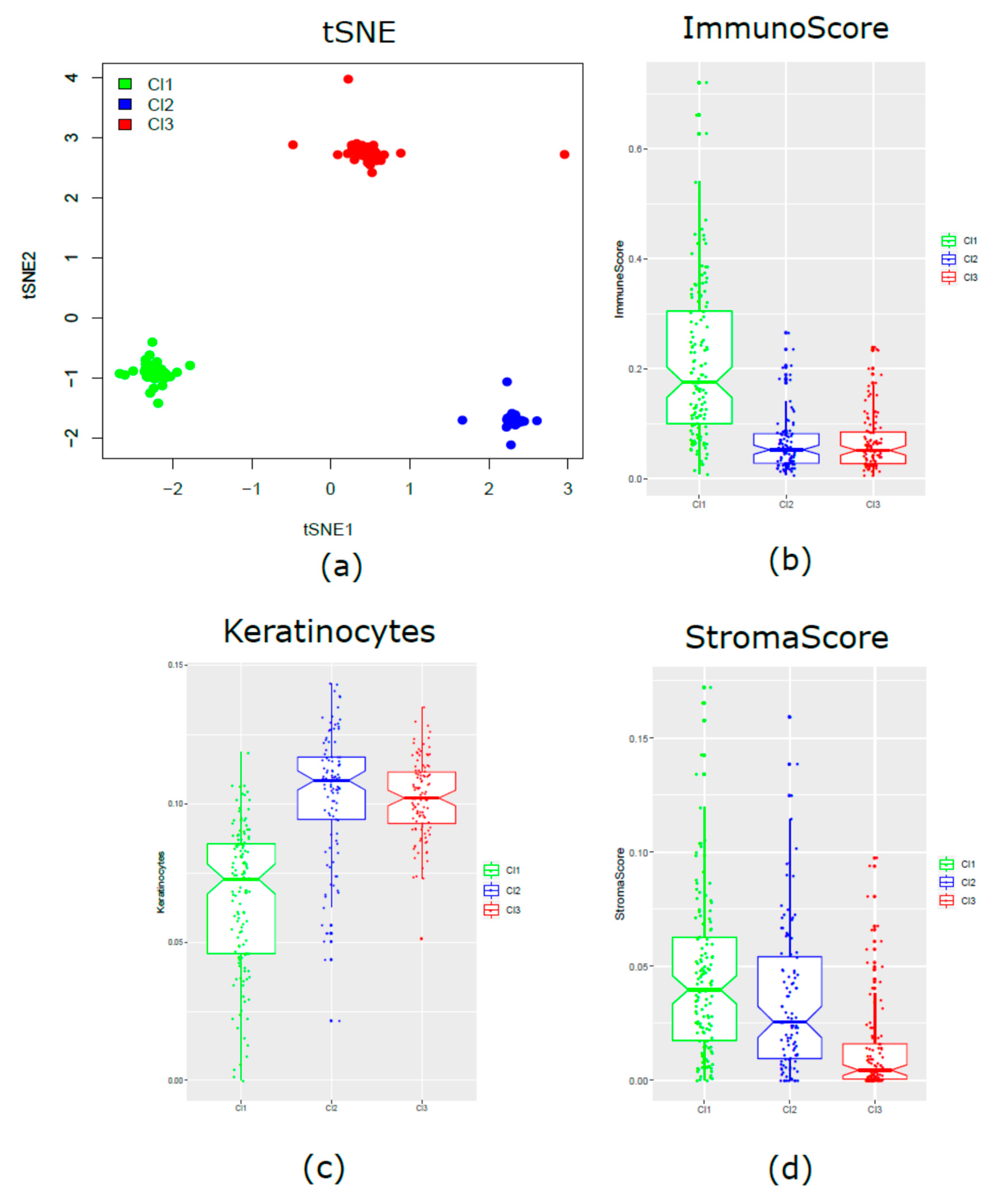 Cancers 11 01057 g005