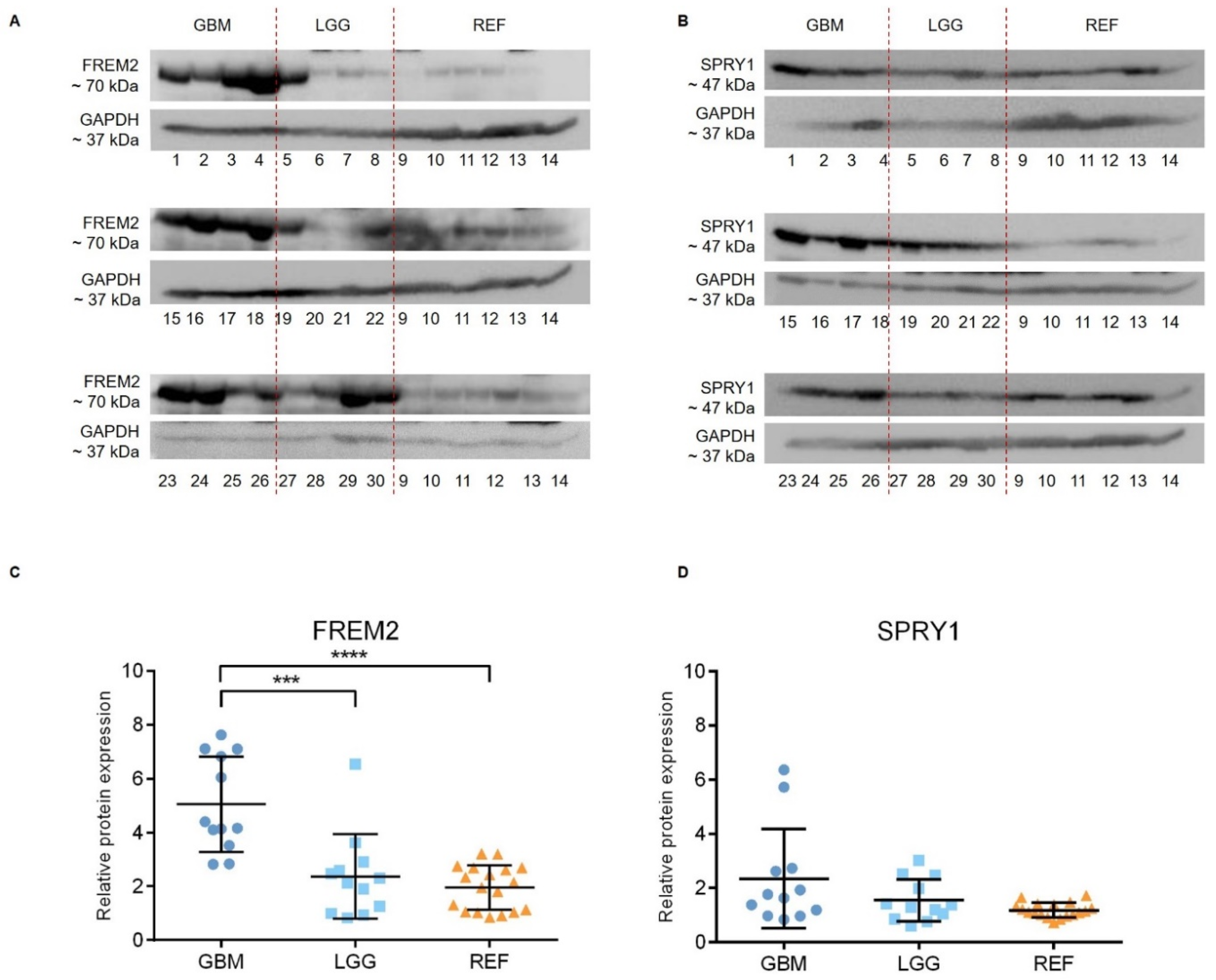 Cancers 11 01060 g001