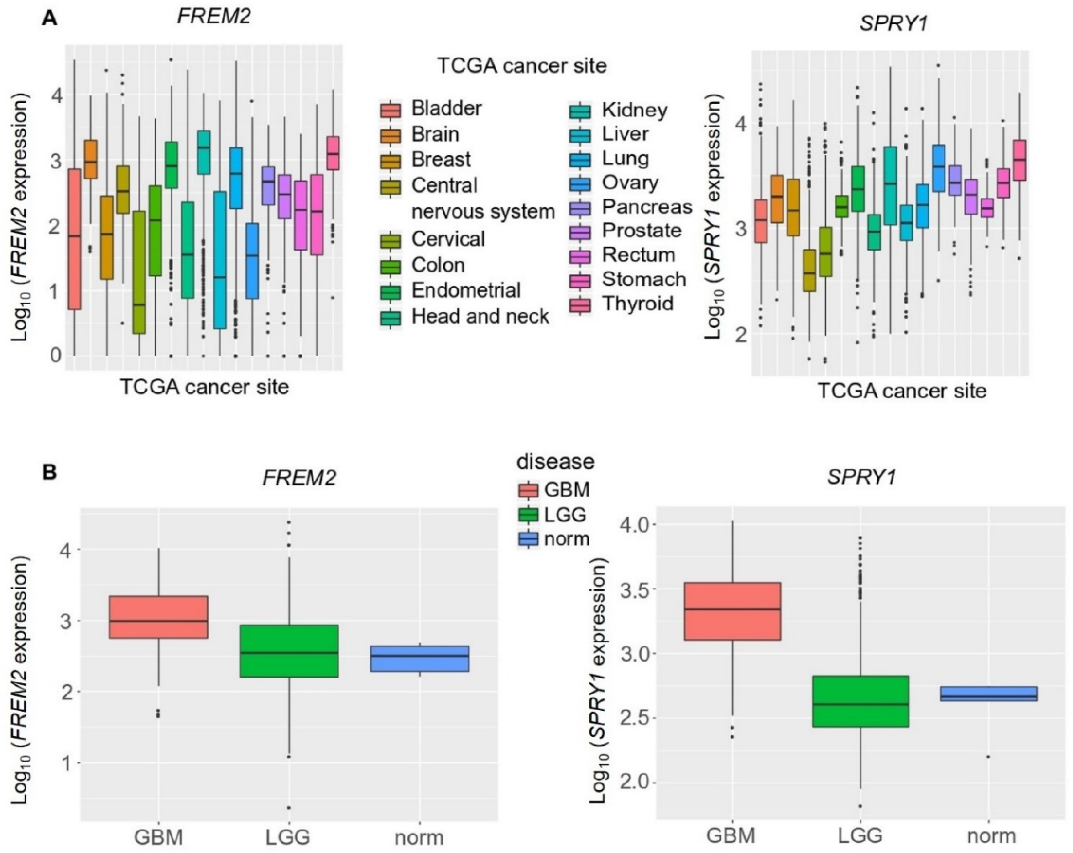 Cancers 11 01060 g005