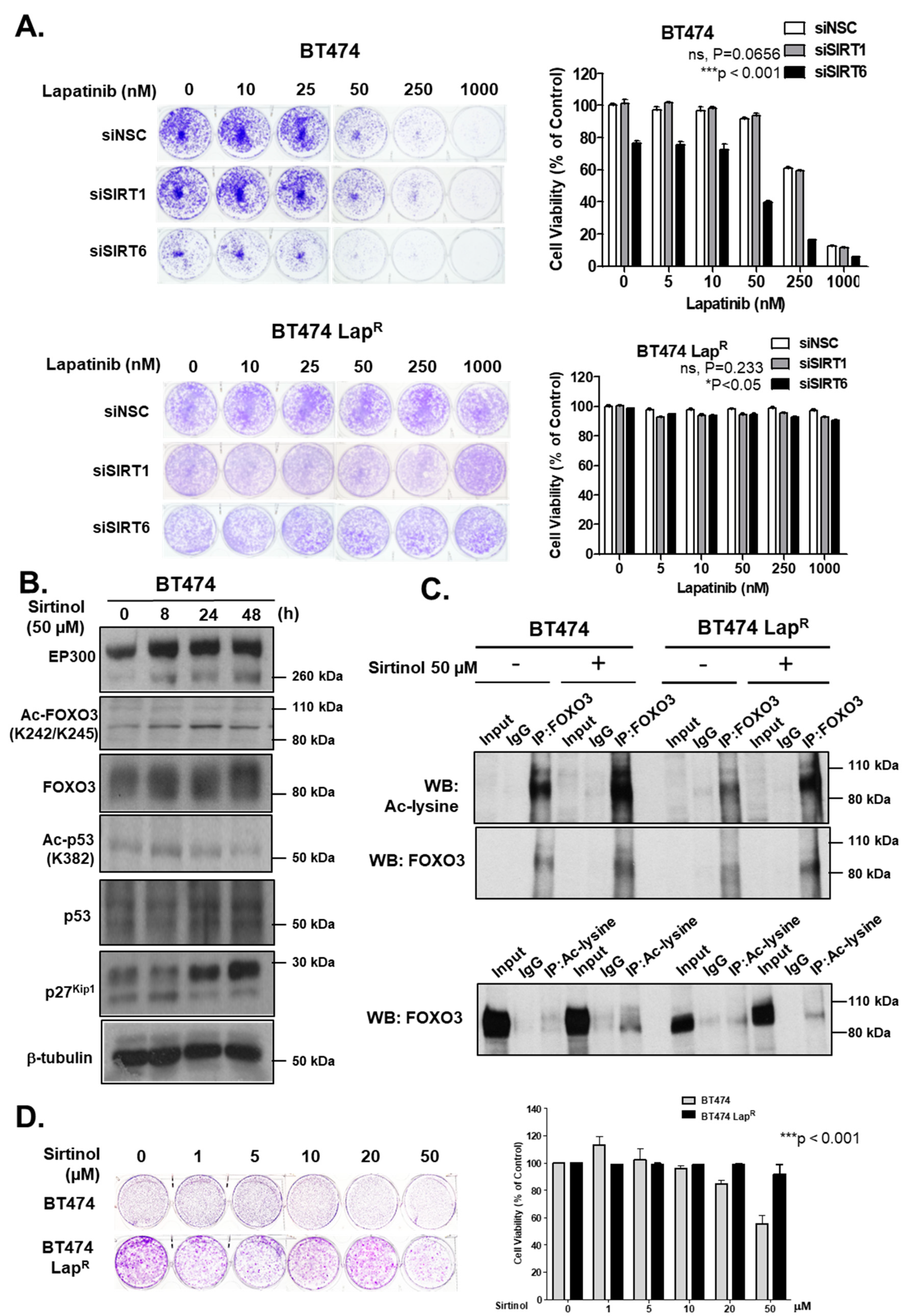 Cancers 11 01067 g007