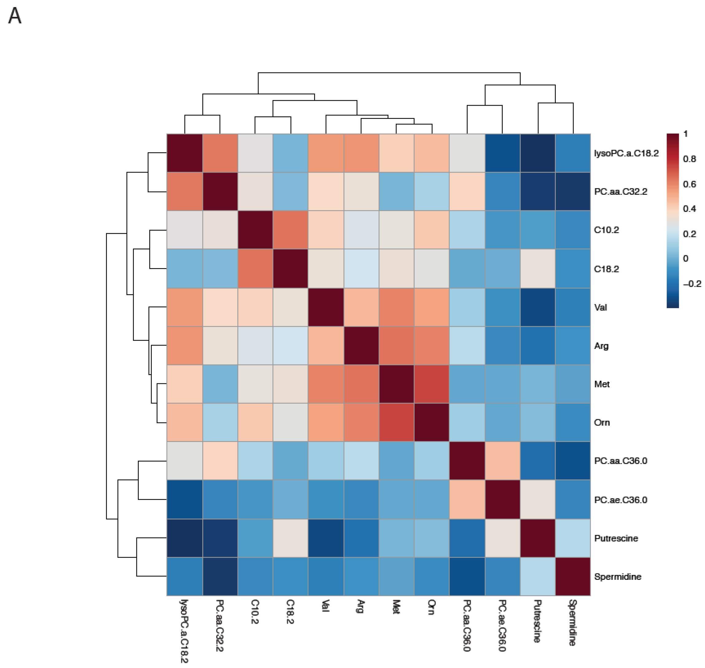 Cancers 11 01069 g002a