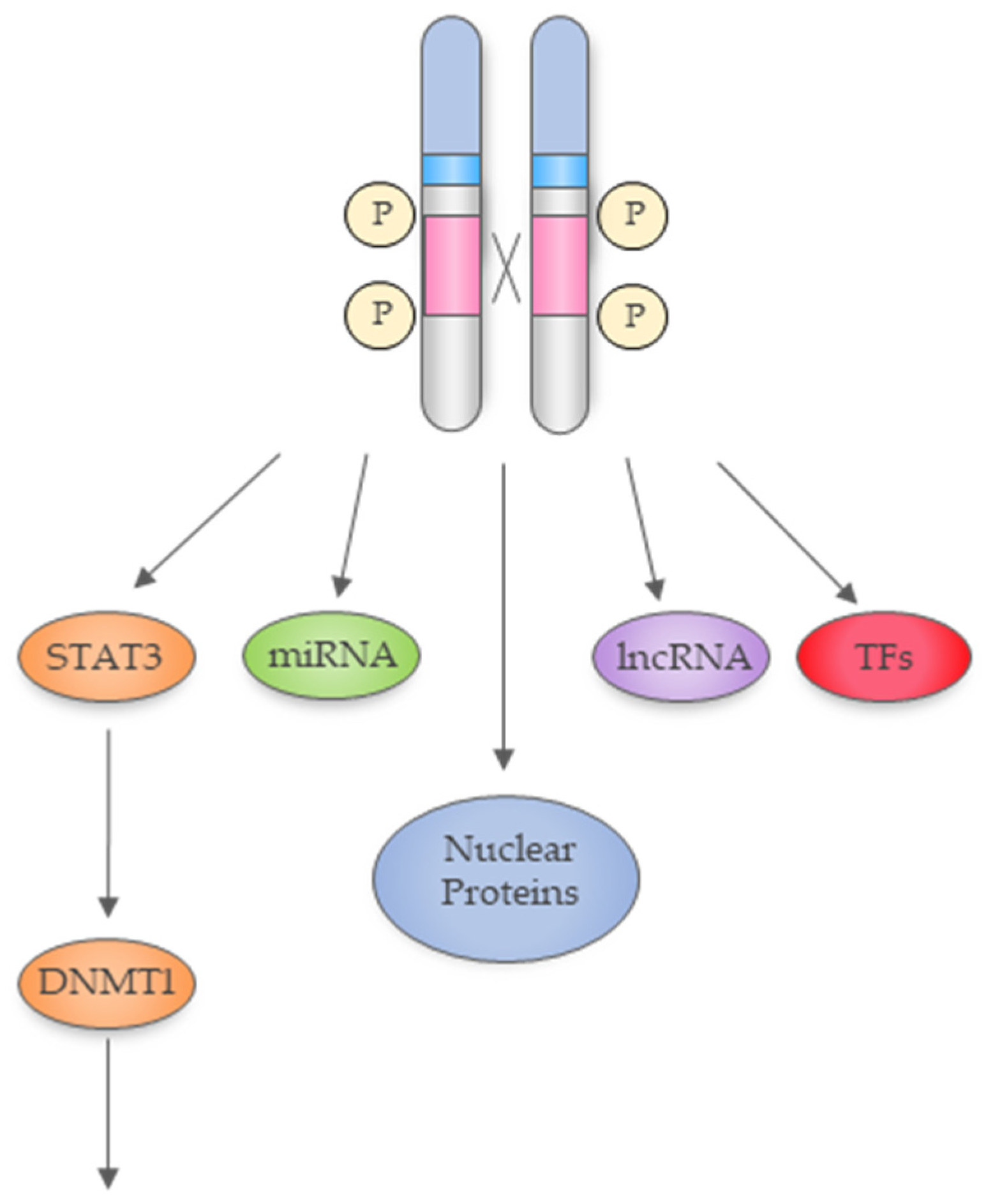 Cancers 11 01074 g003