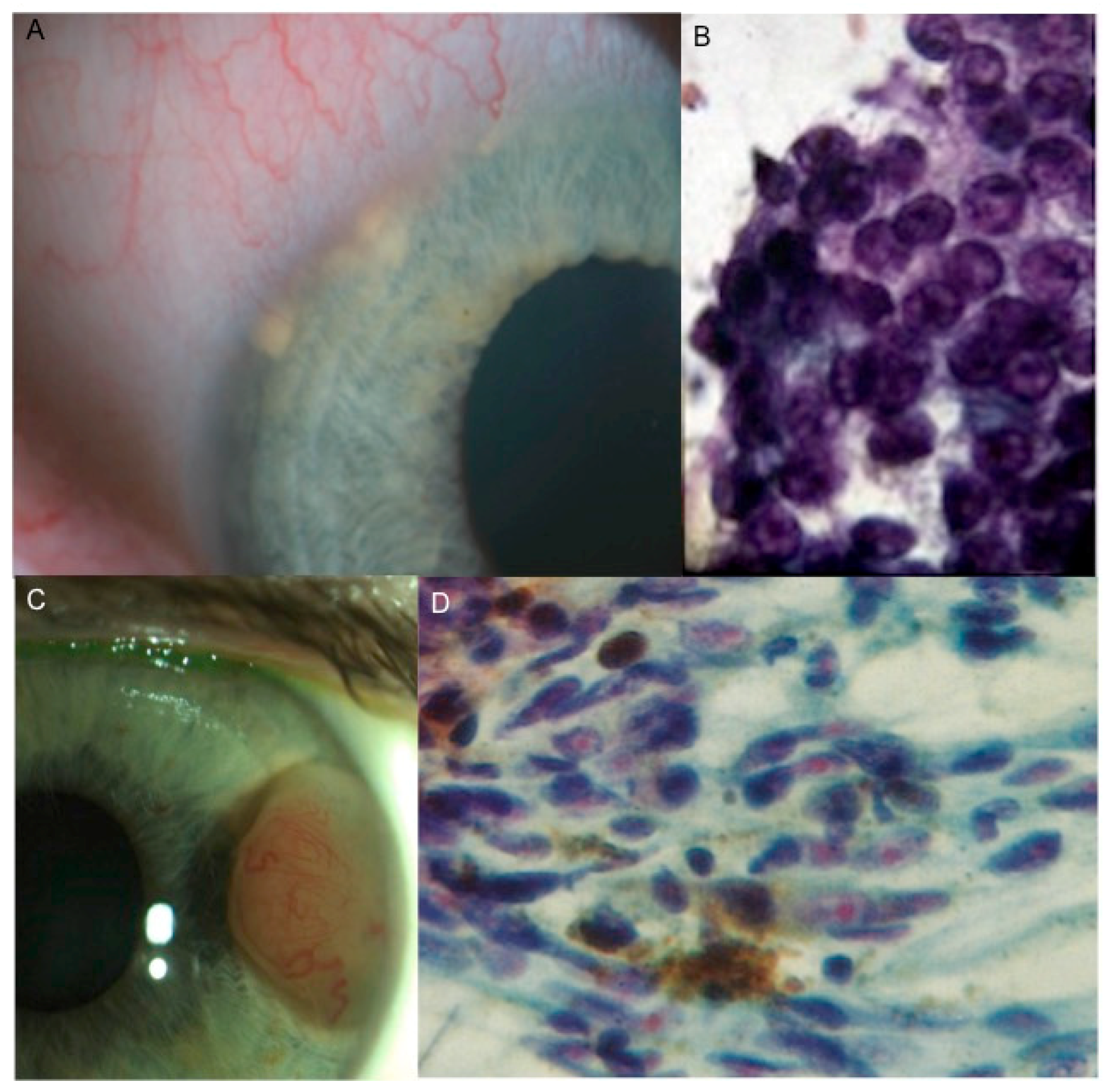 Cancers 11 01075 g006 Cancers 11 01075 g006