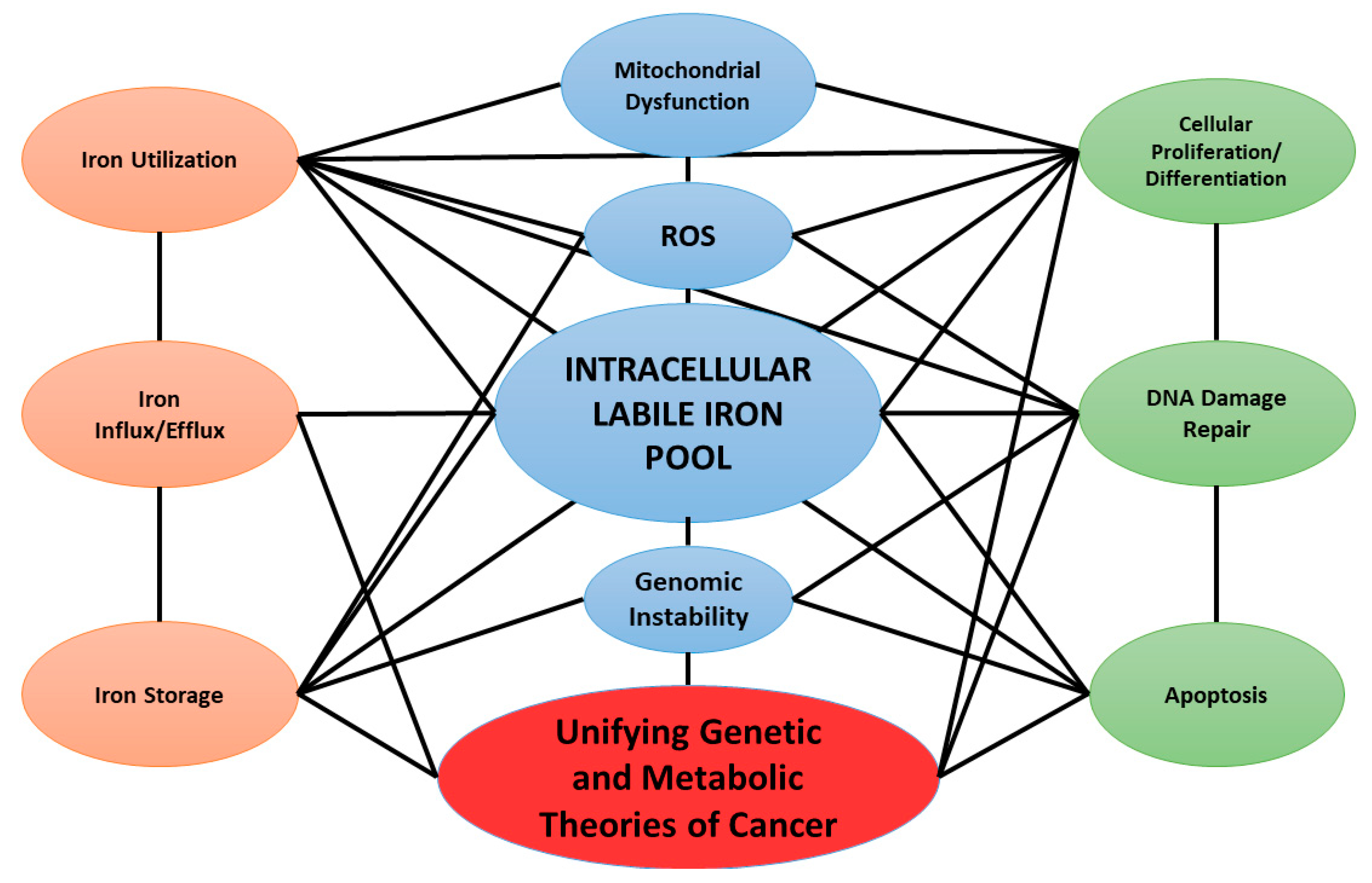 Cancers 11 01077 g001