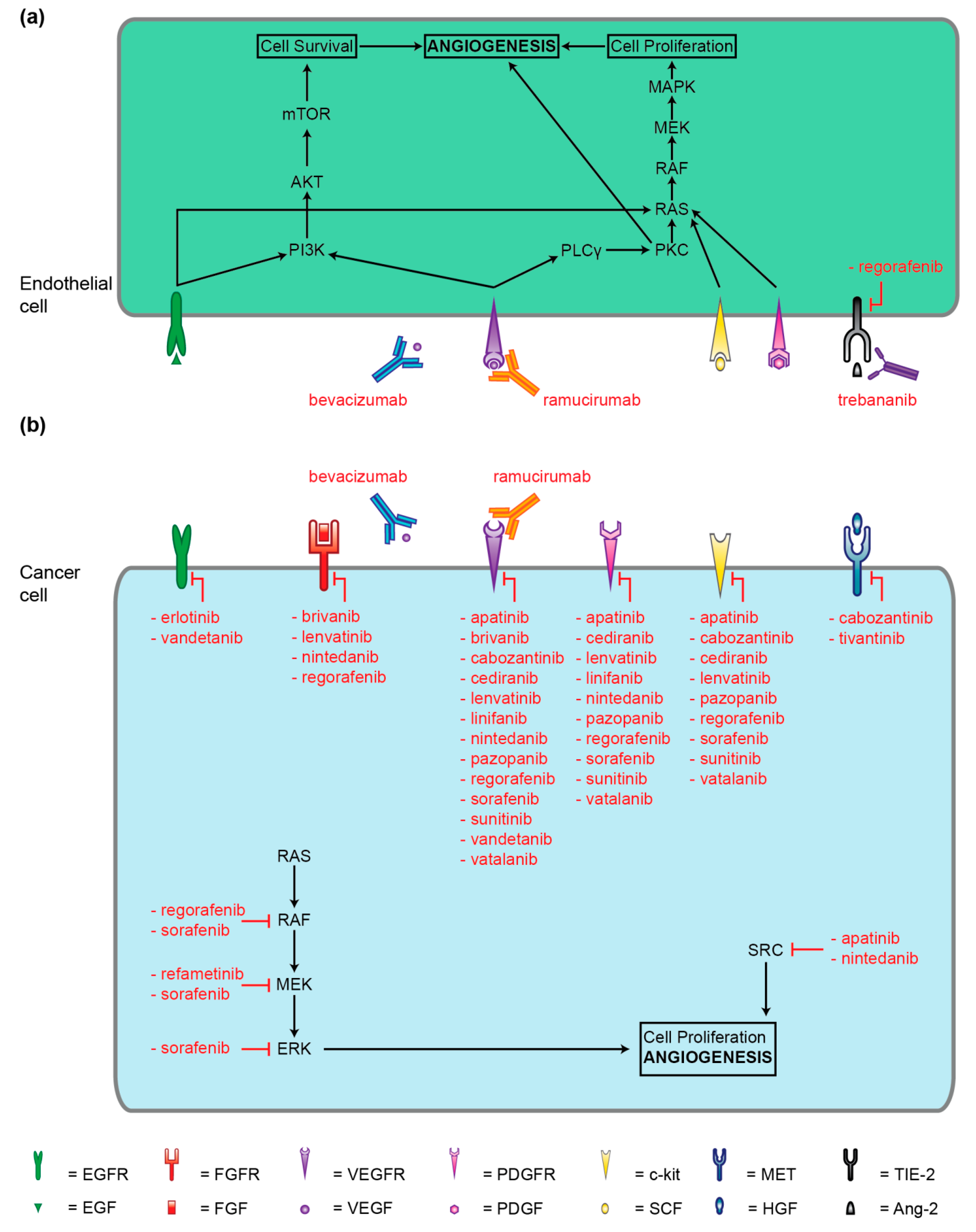 Cancers 11 01086 g002
