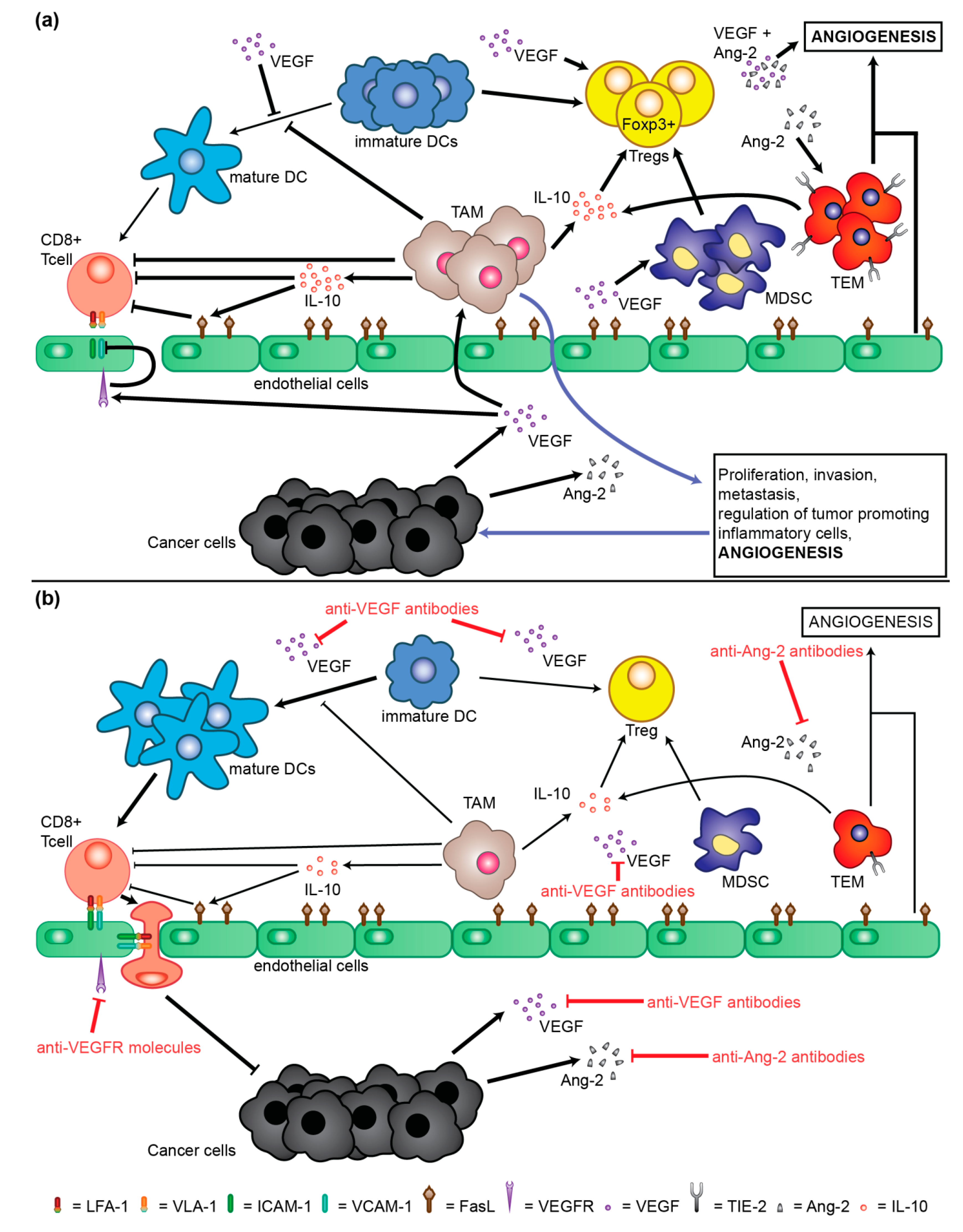 Cancers 11 01086 g003