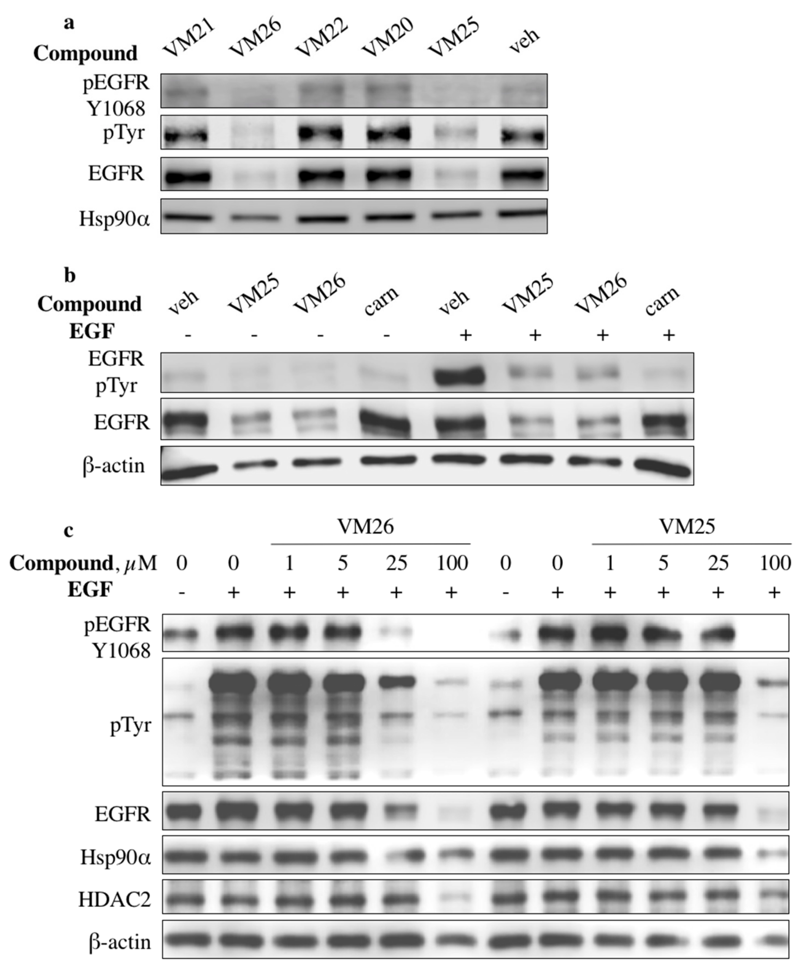 Cancers 11 01094 g002