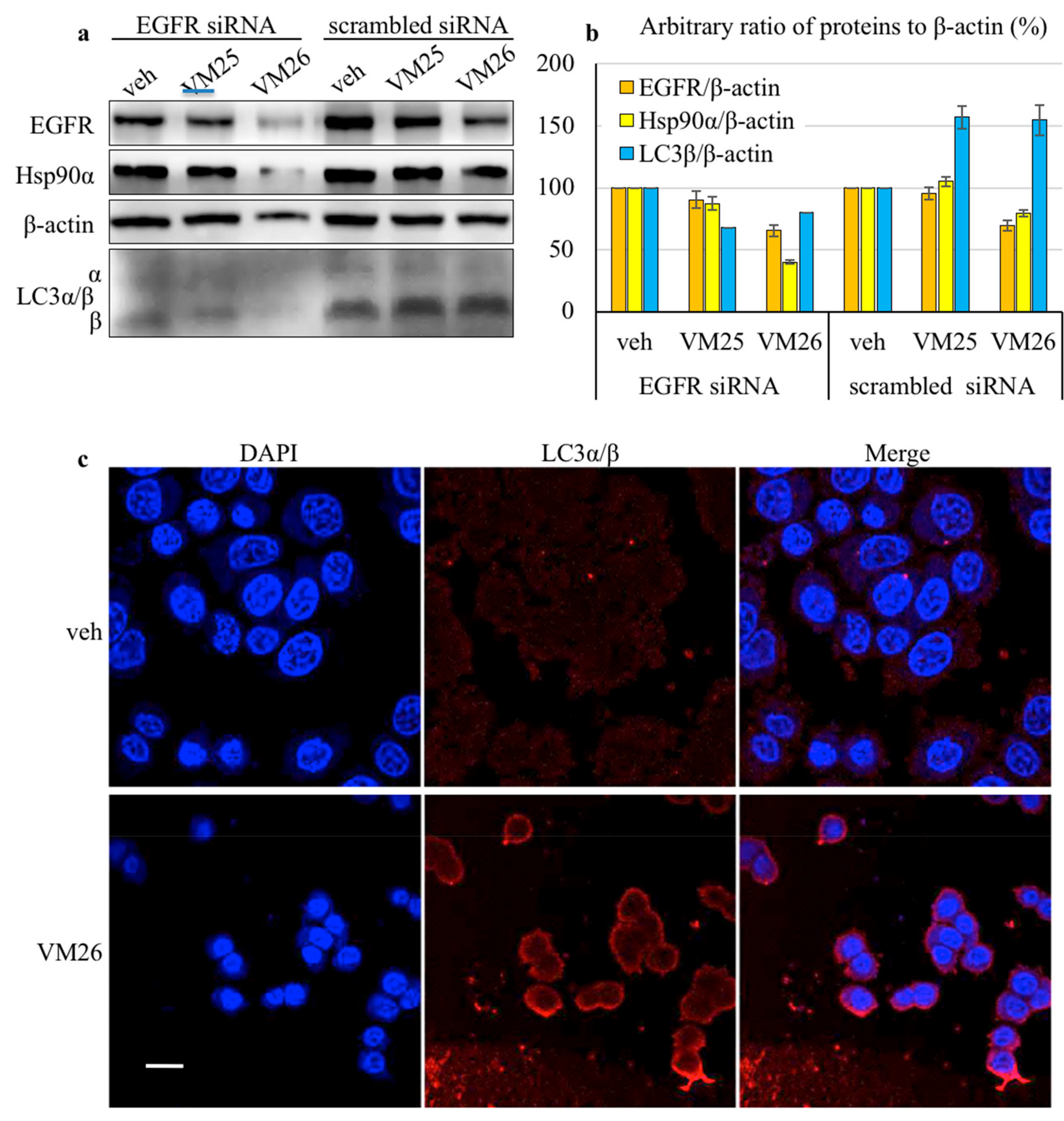 Cancers 11 01094 g003