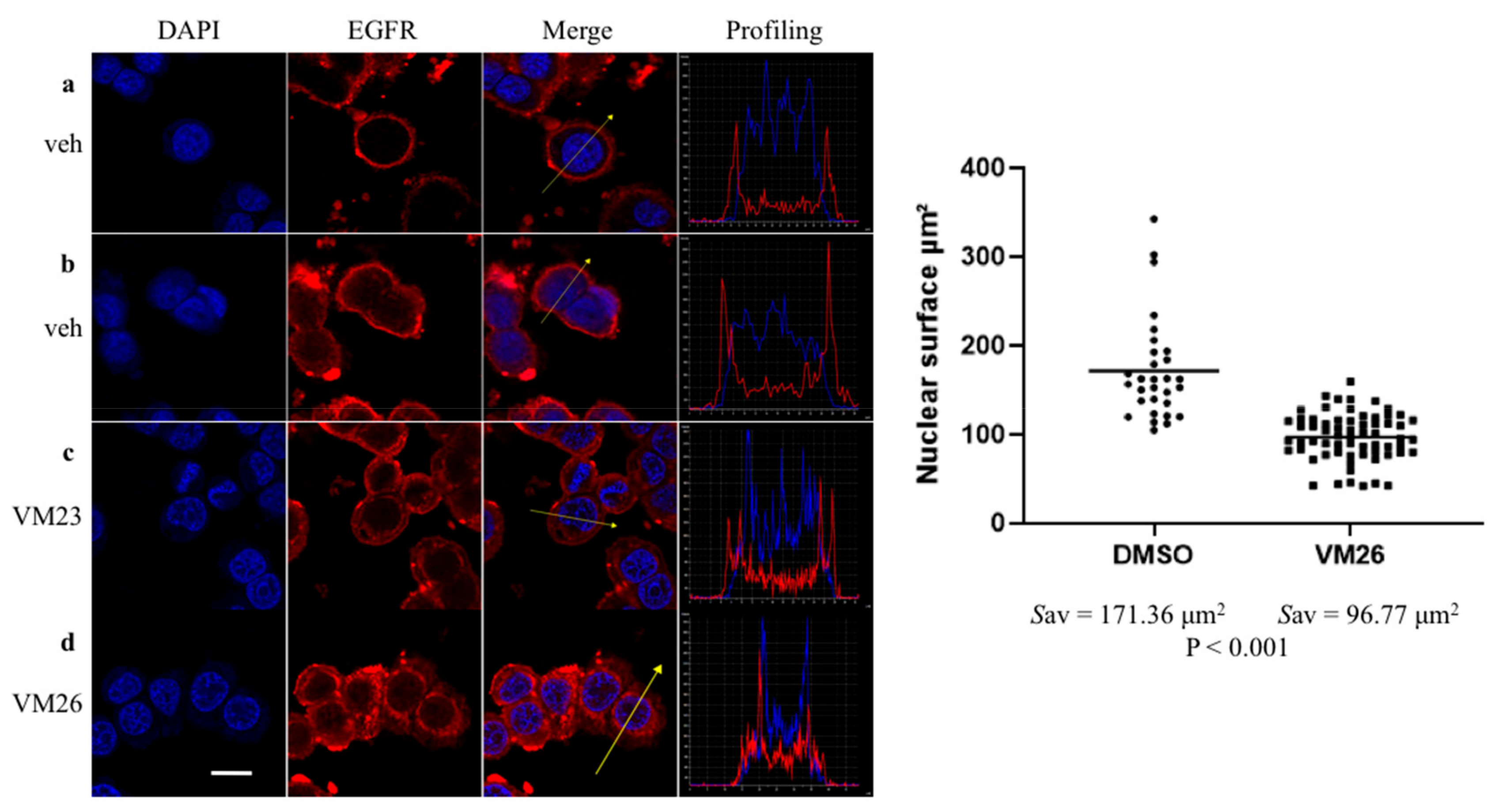 Cancers 11 01094 g004