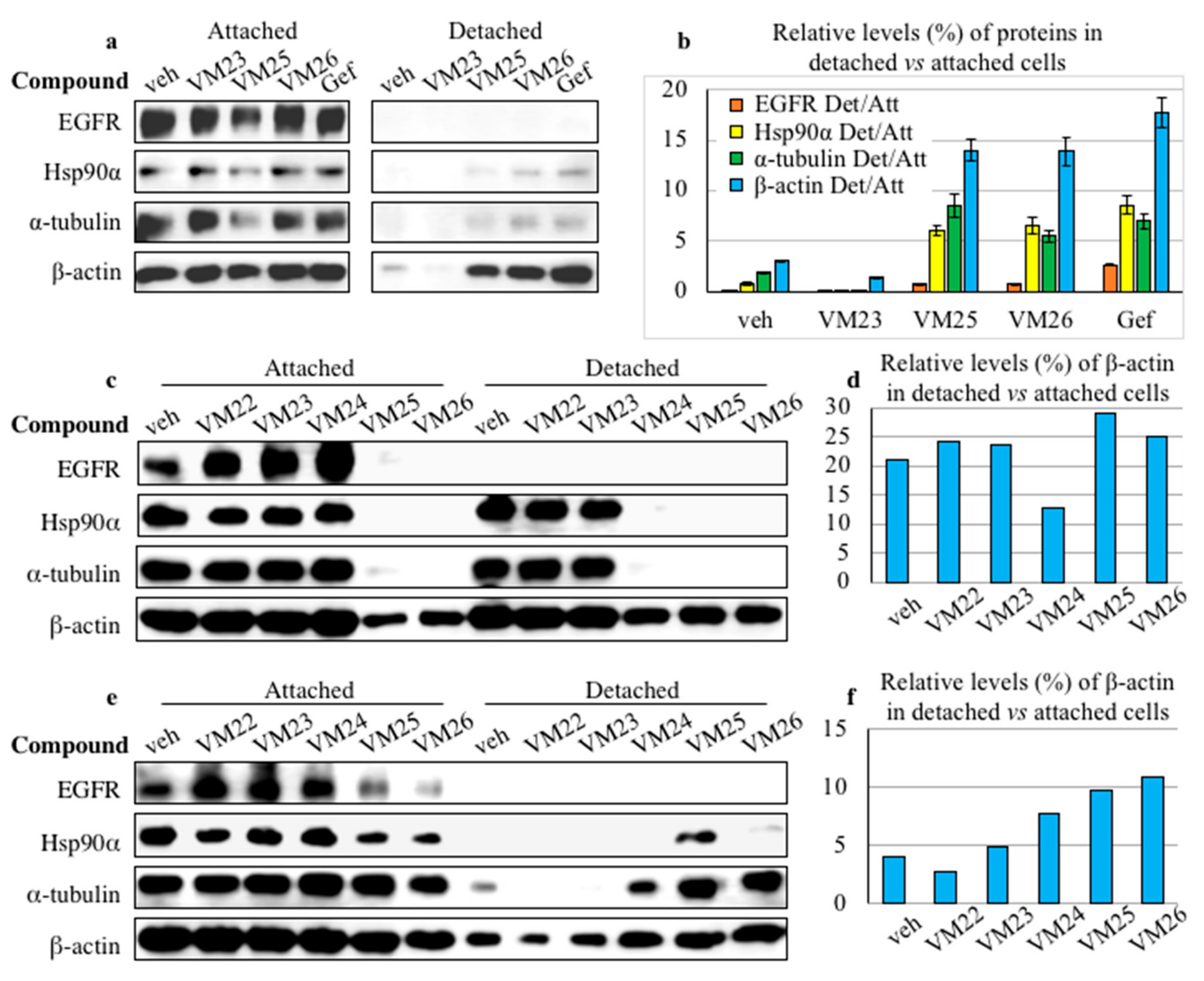 Cancers 11 01094 g005