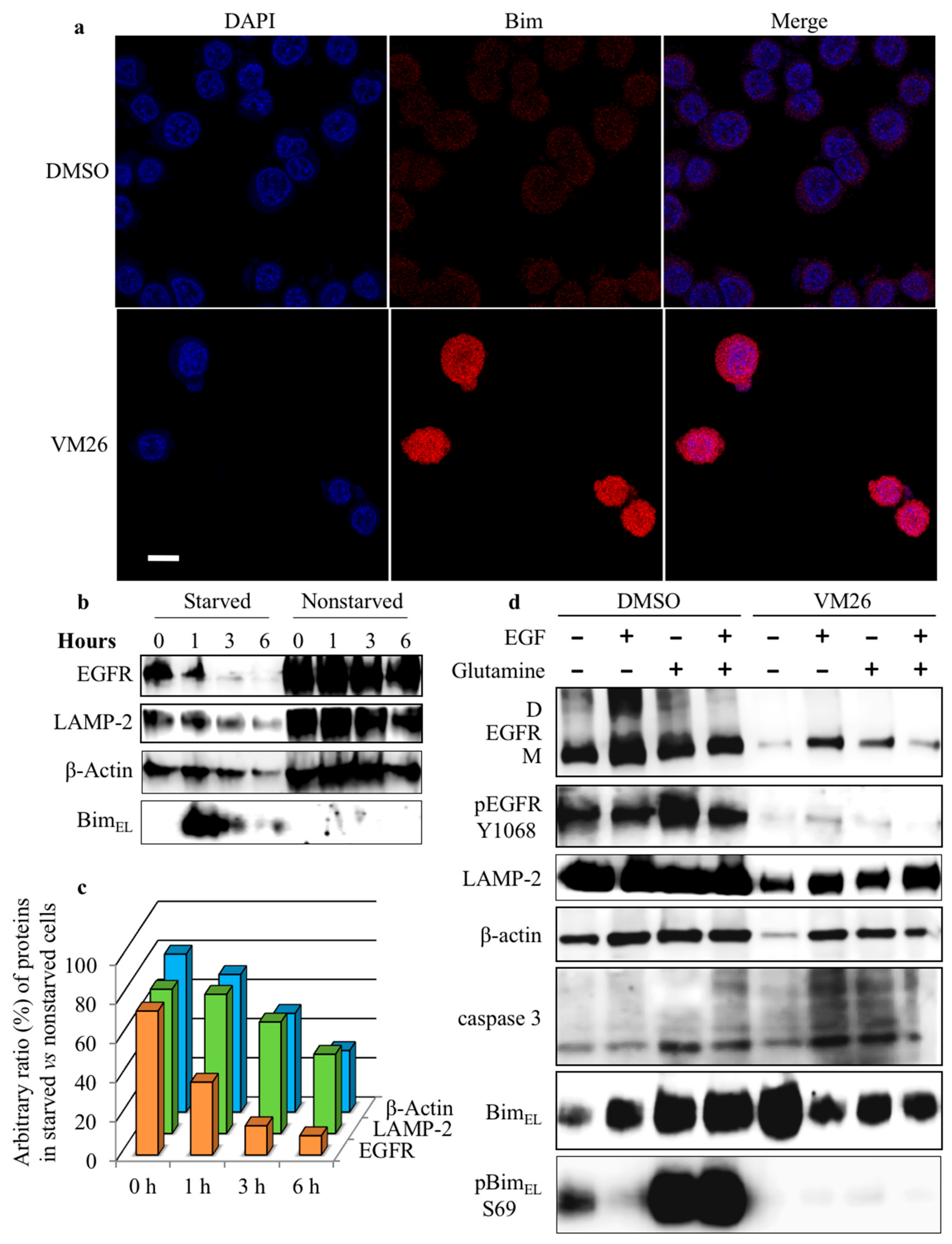 Cancers 11 01094 g006