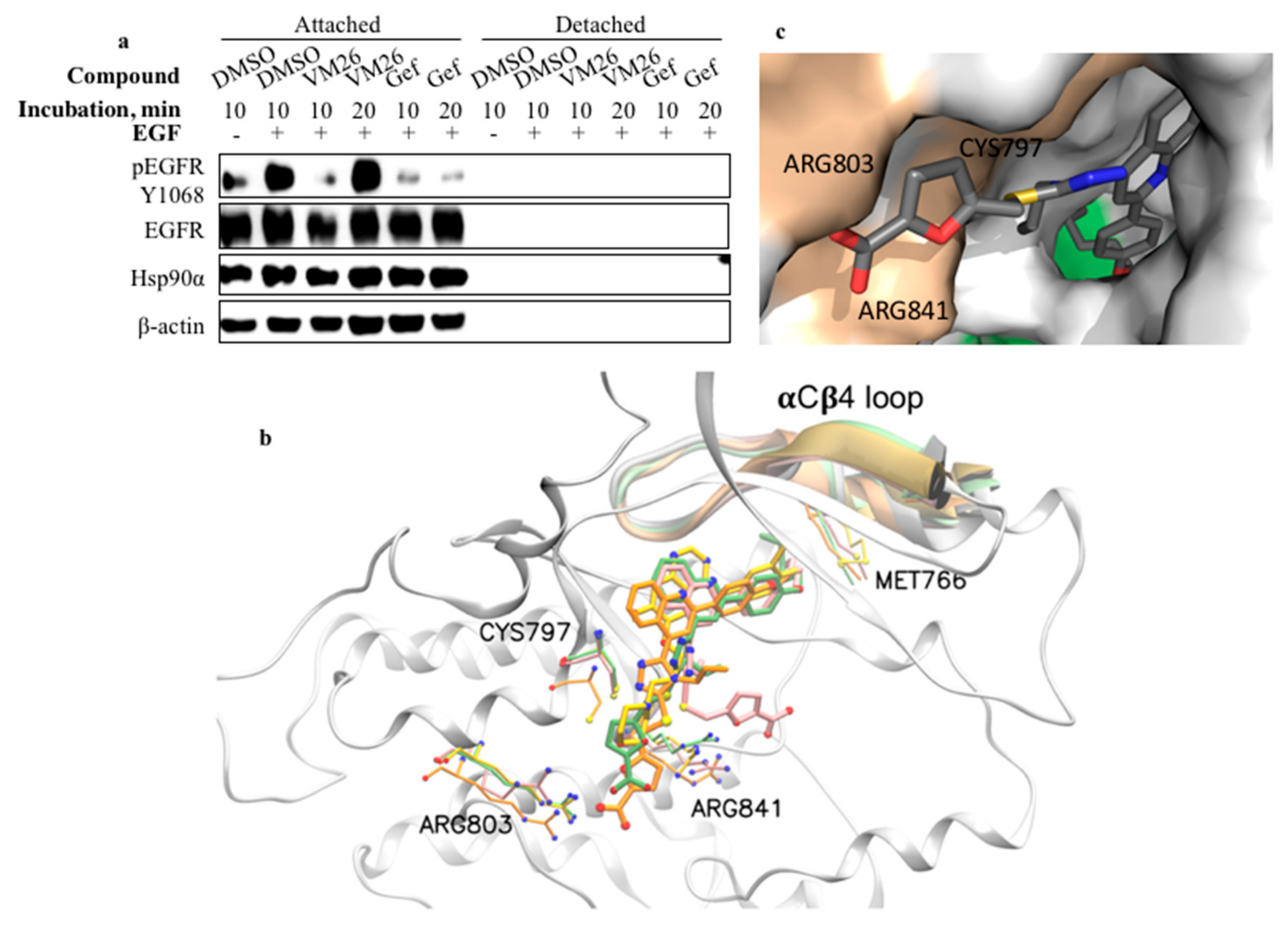 Cancers 11 01094 g007