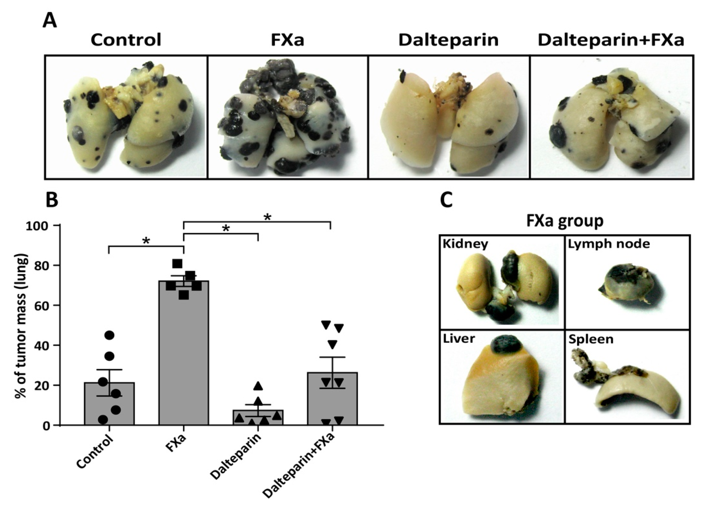 Cancers 11 01103 g002