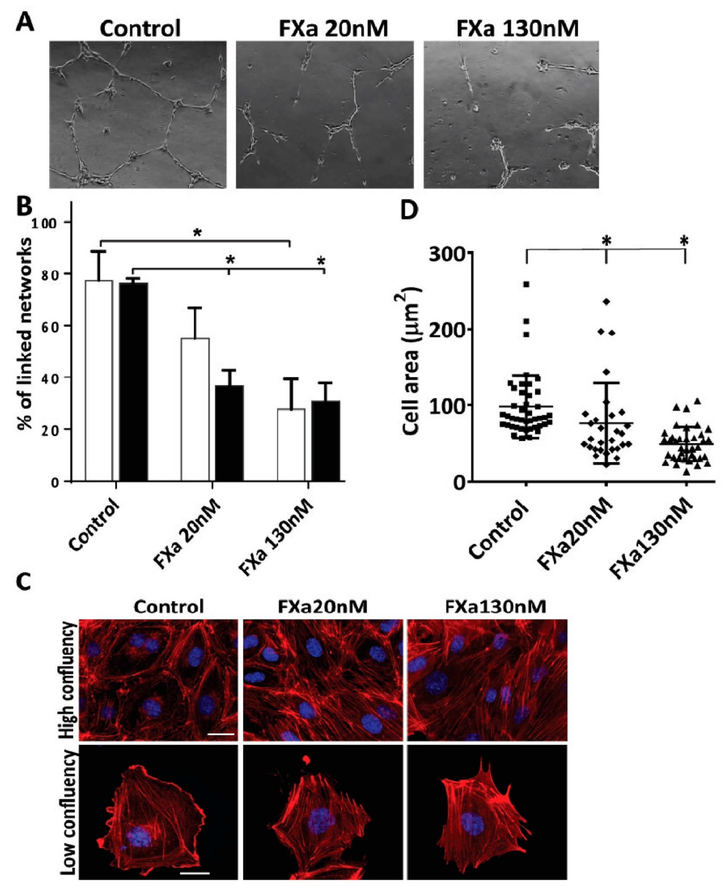 Cancers 11 01103 g003