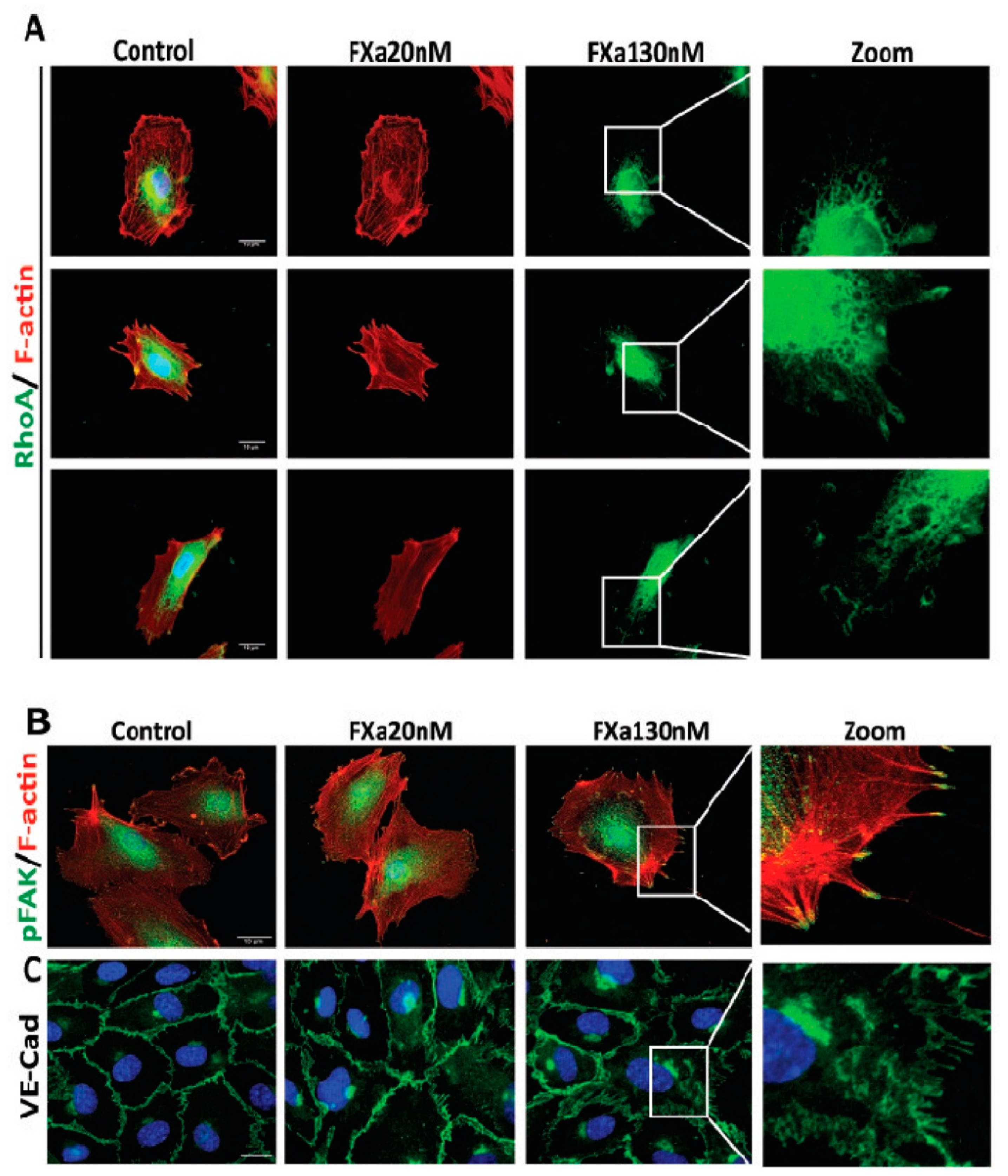 Cancers 11 01103 g004