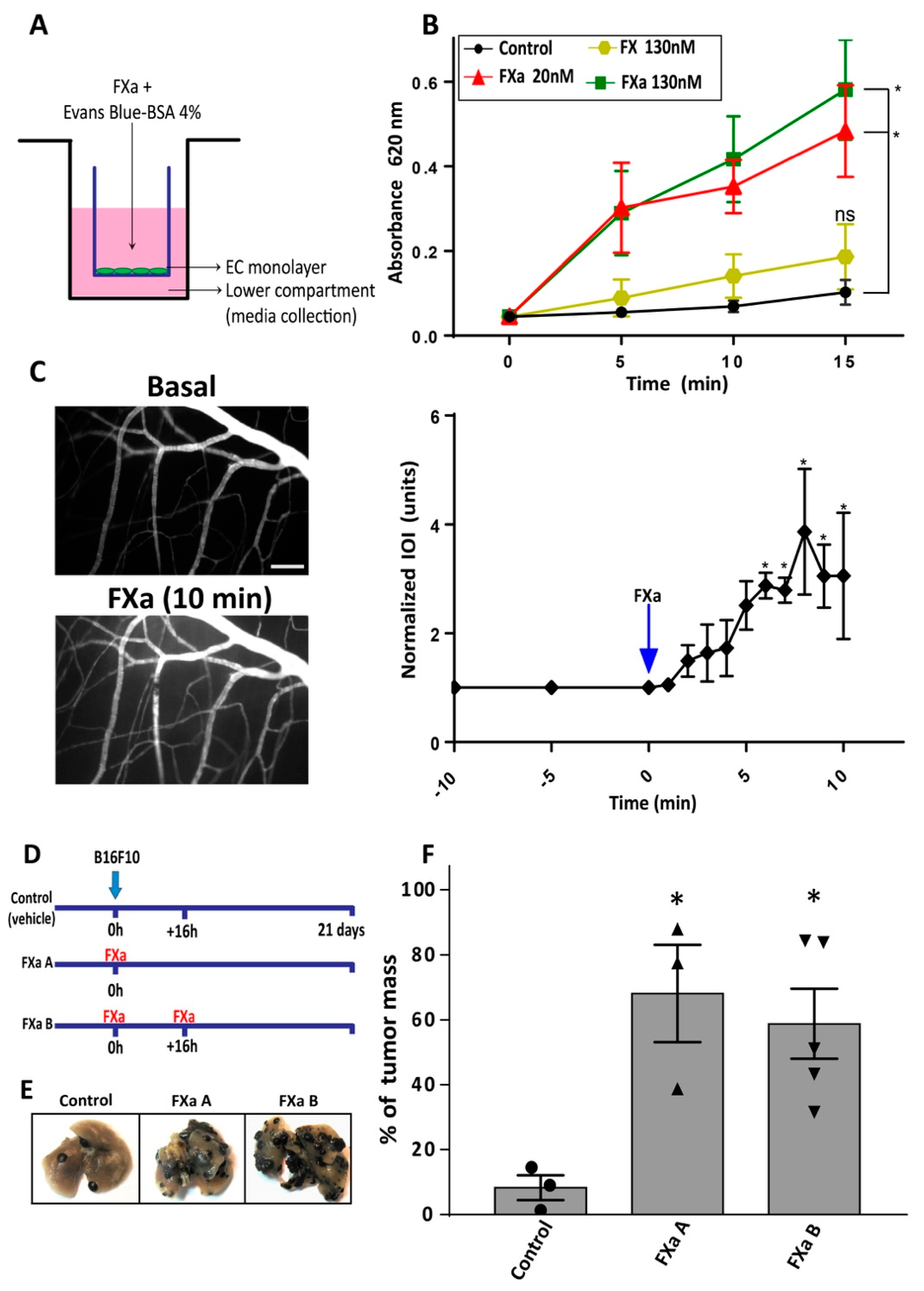 Cancers 11 01103 g005