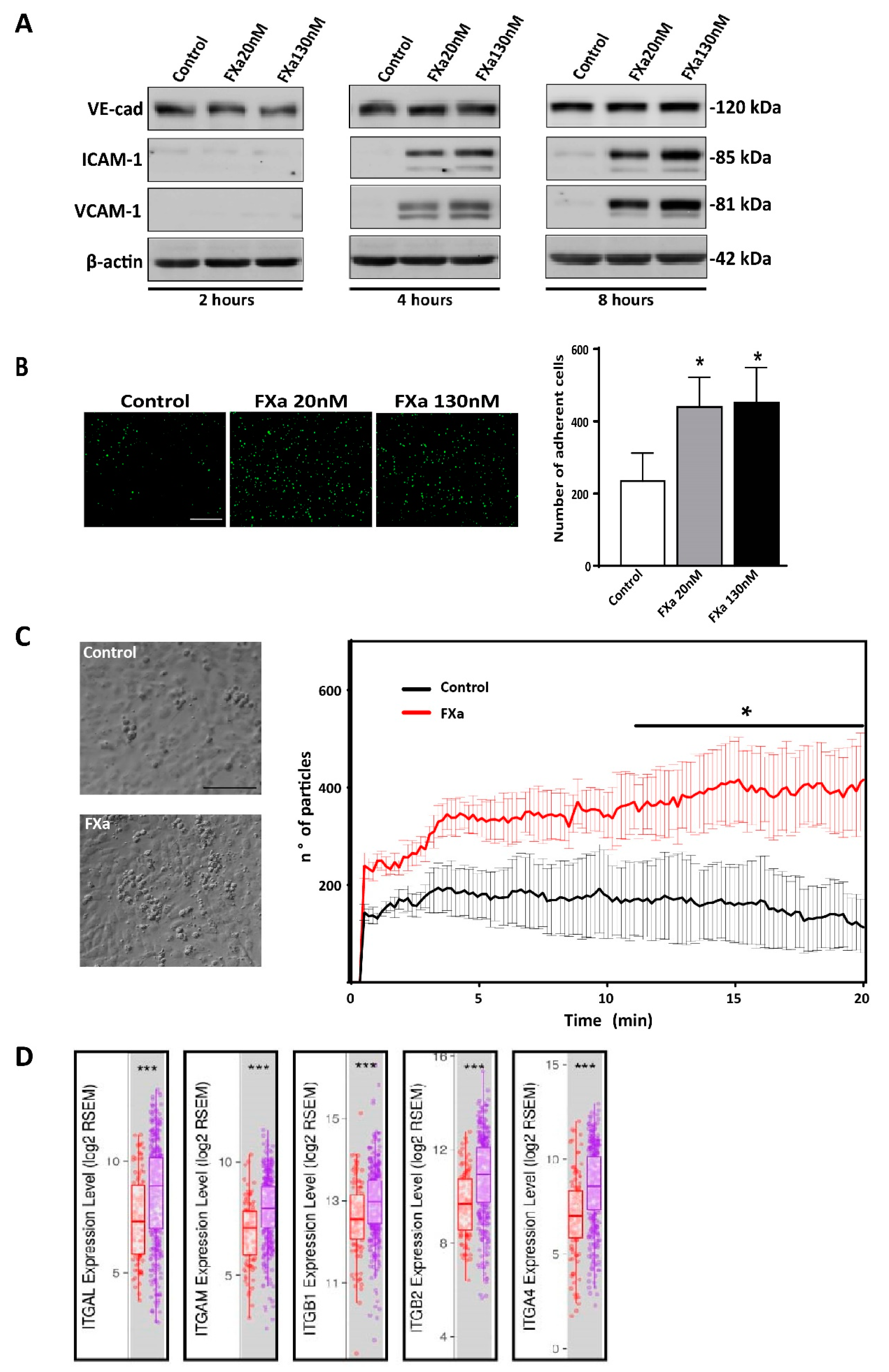 Cancers 11 01103 g007