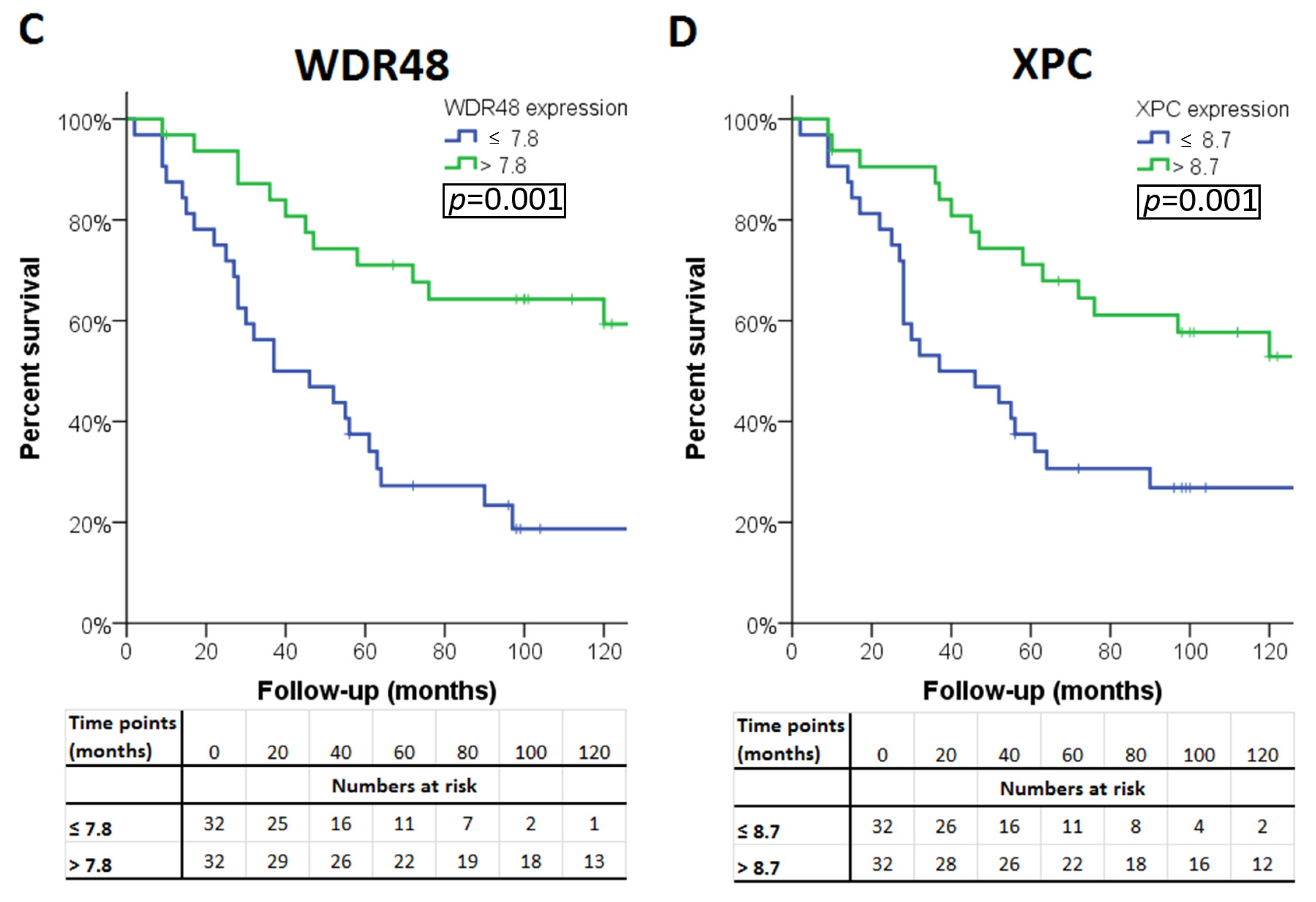 Cancers 11 01104 g002b