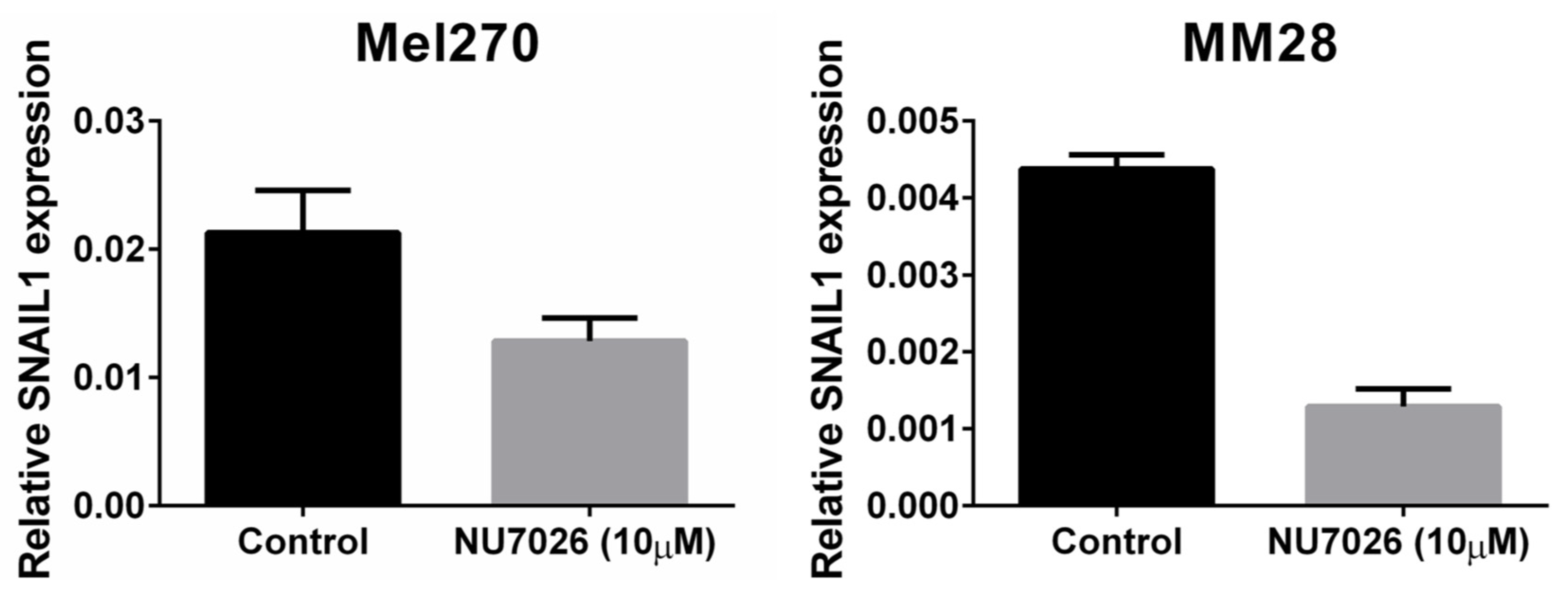 Cancers 11 01104 g005