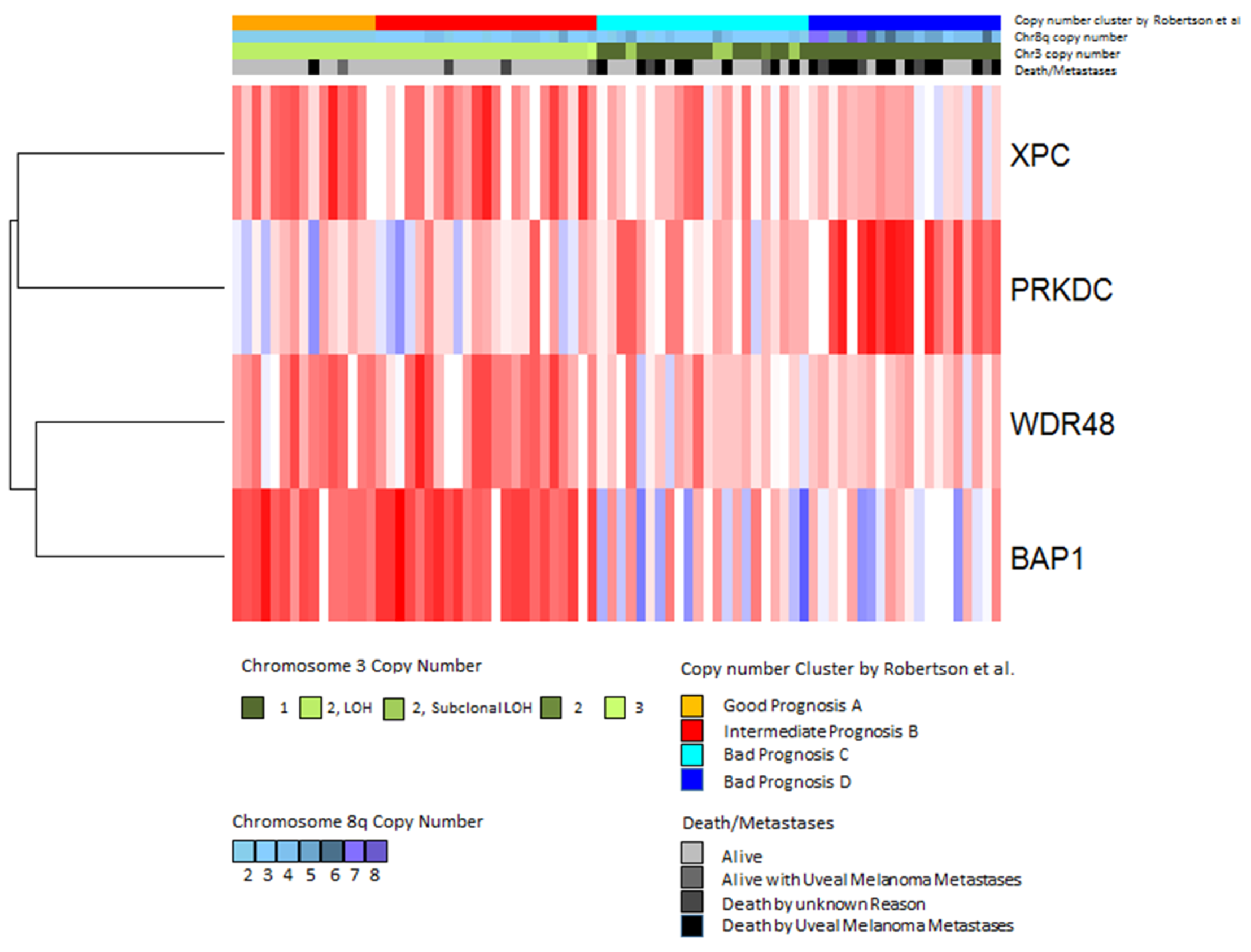 Cancers 11 01104 g007