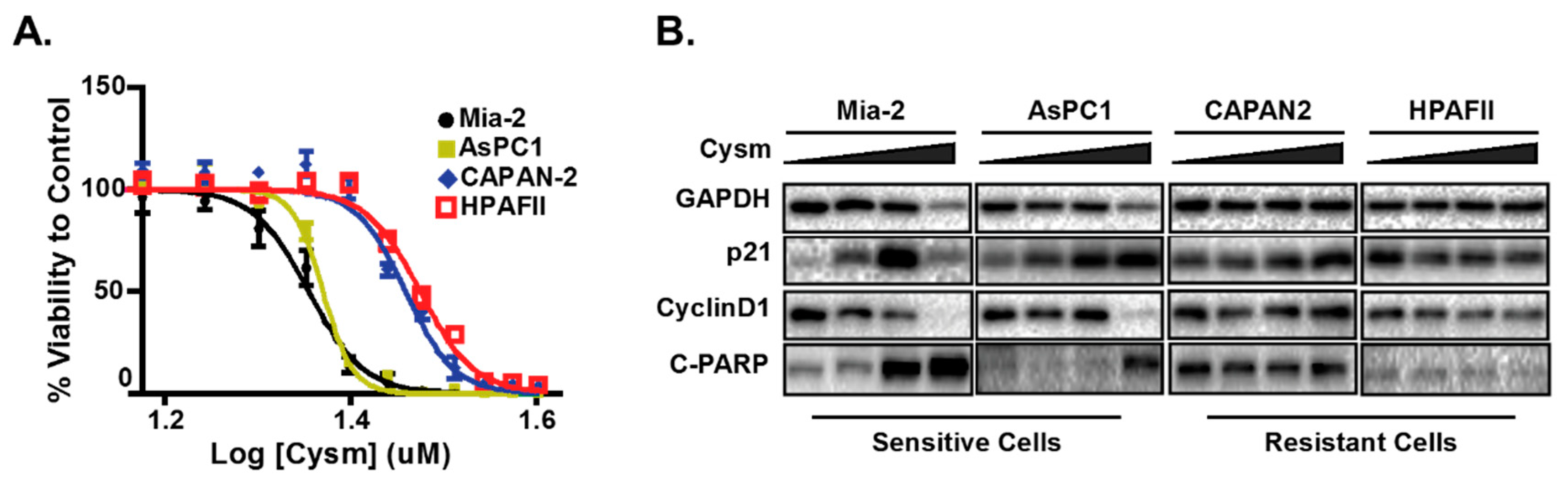 Cancers 11 01112 g001