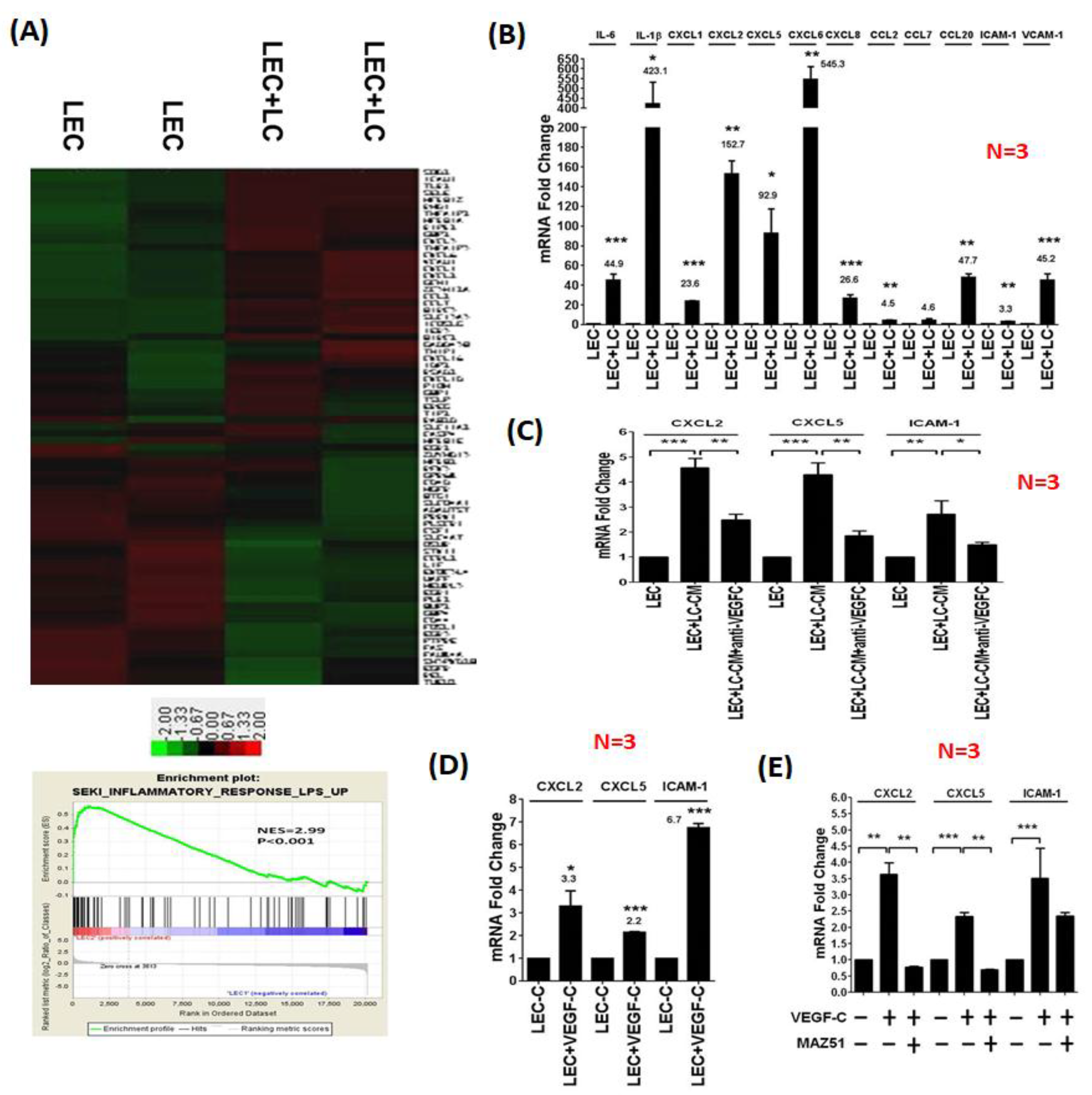 Cancers 11 01120 g002