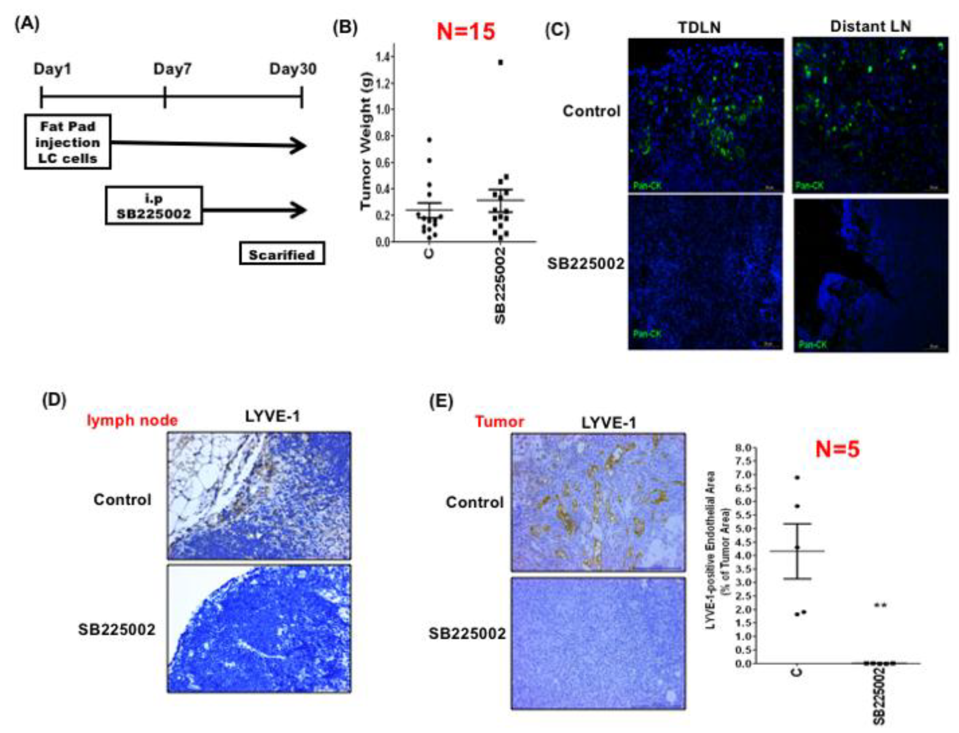 Cancers 11 01120 g003