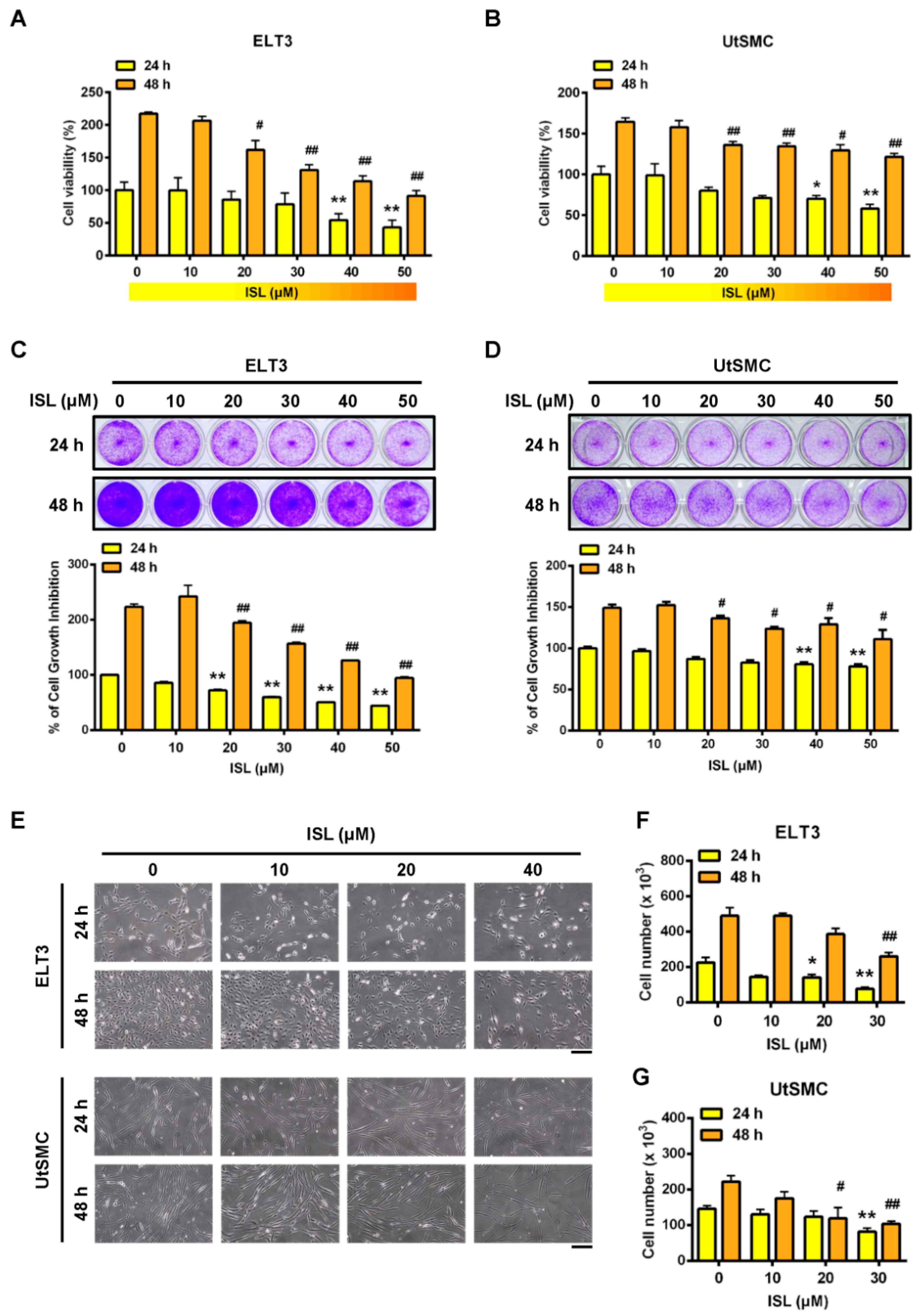 Cancers 11 01131 g001