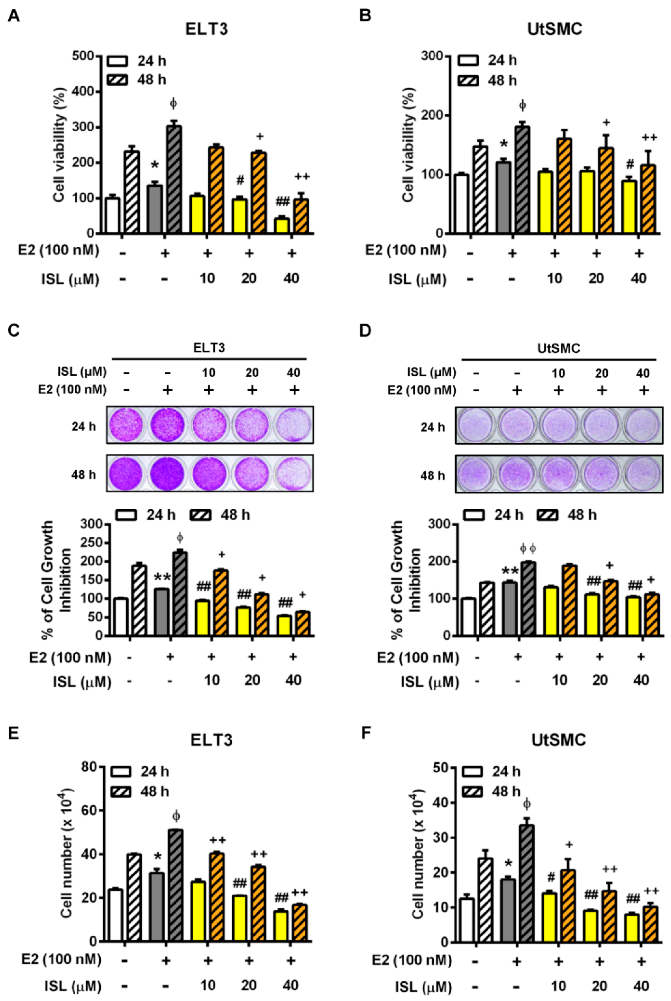 Cancers 11 01131 g003