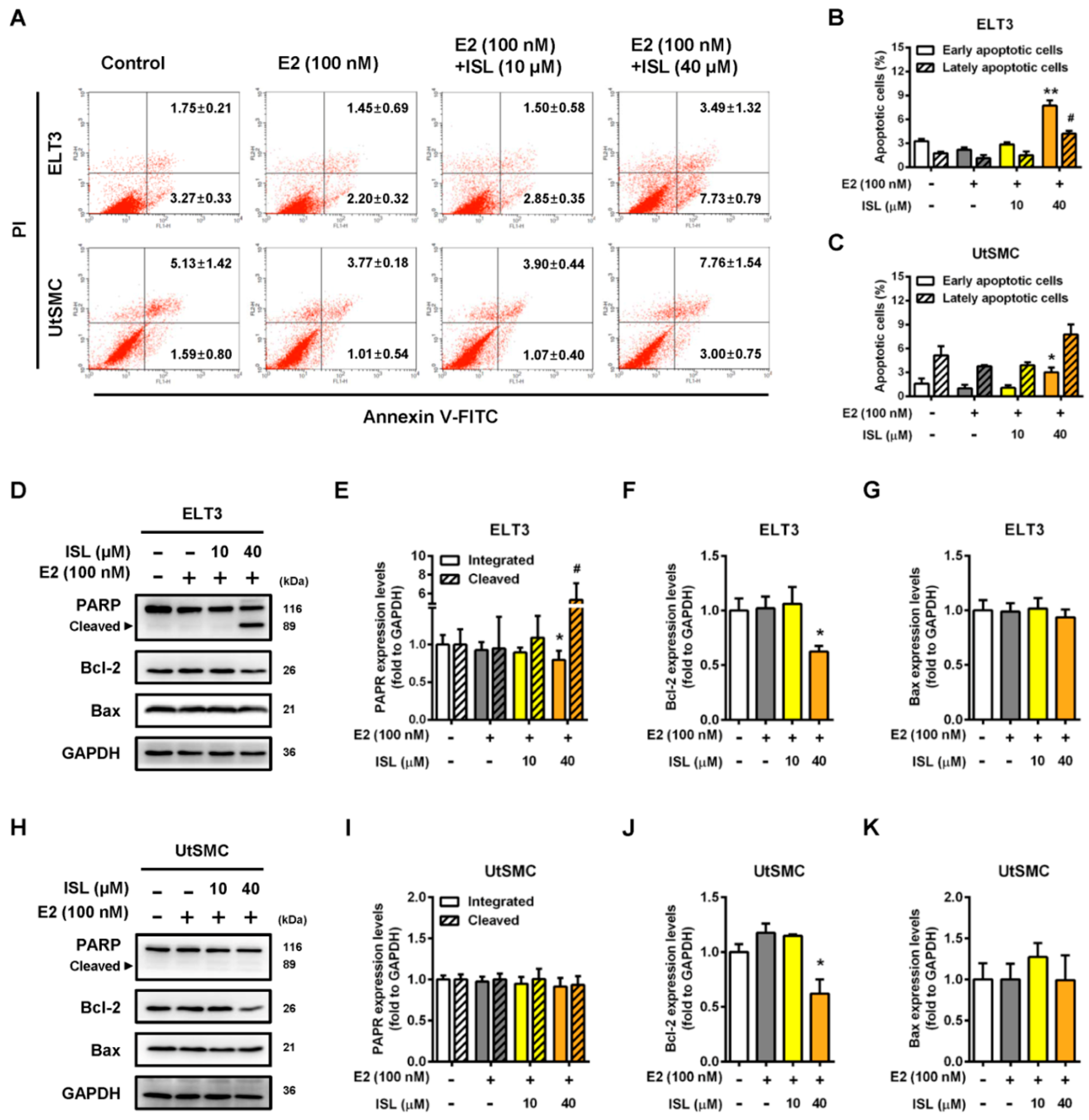 Cancers 11 01131 g005