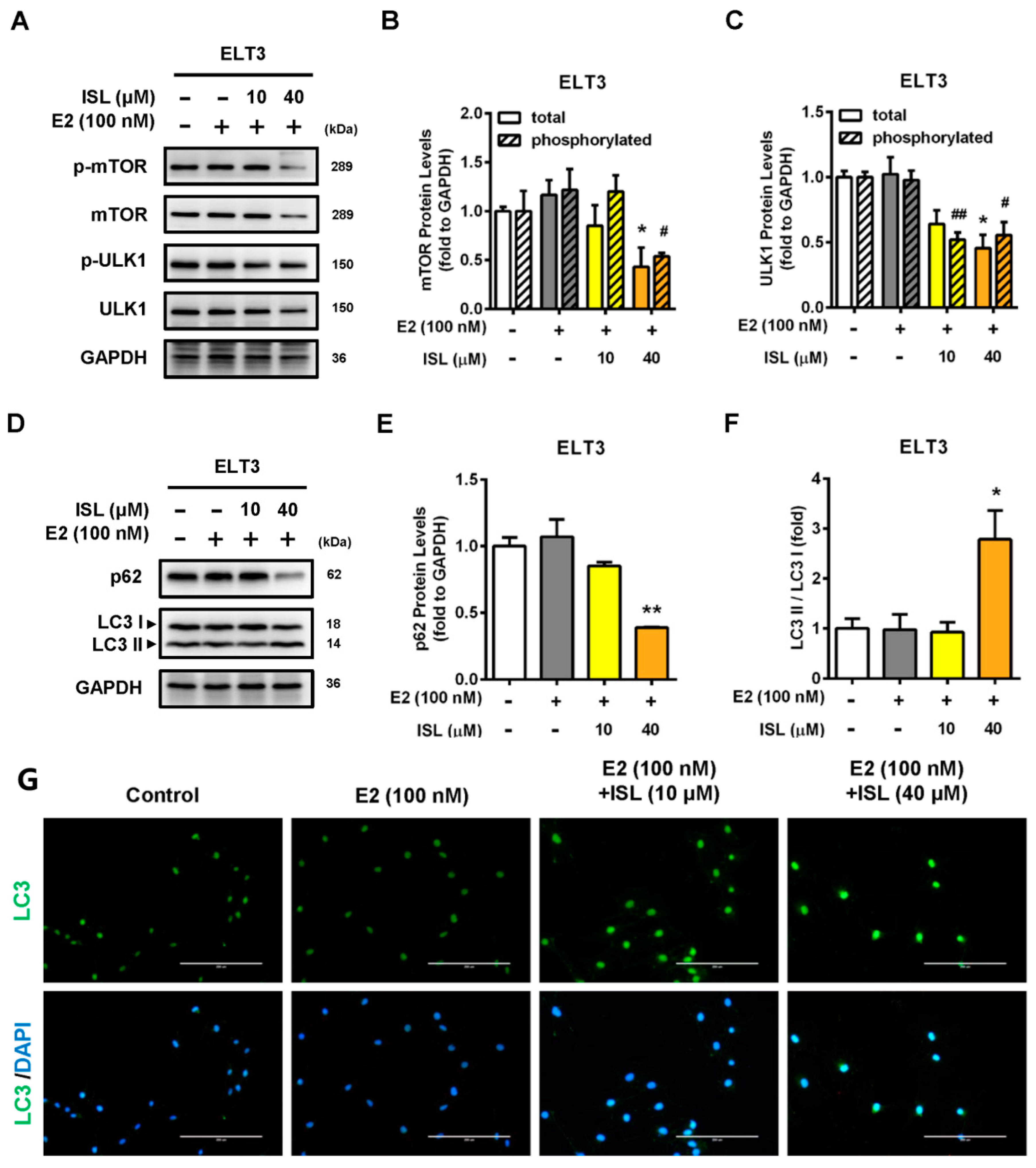Cancers 11 01131 g006
