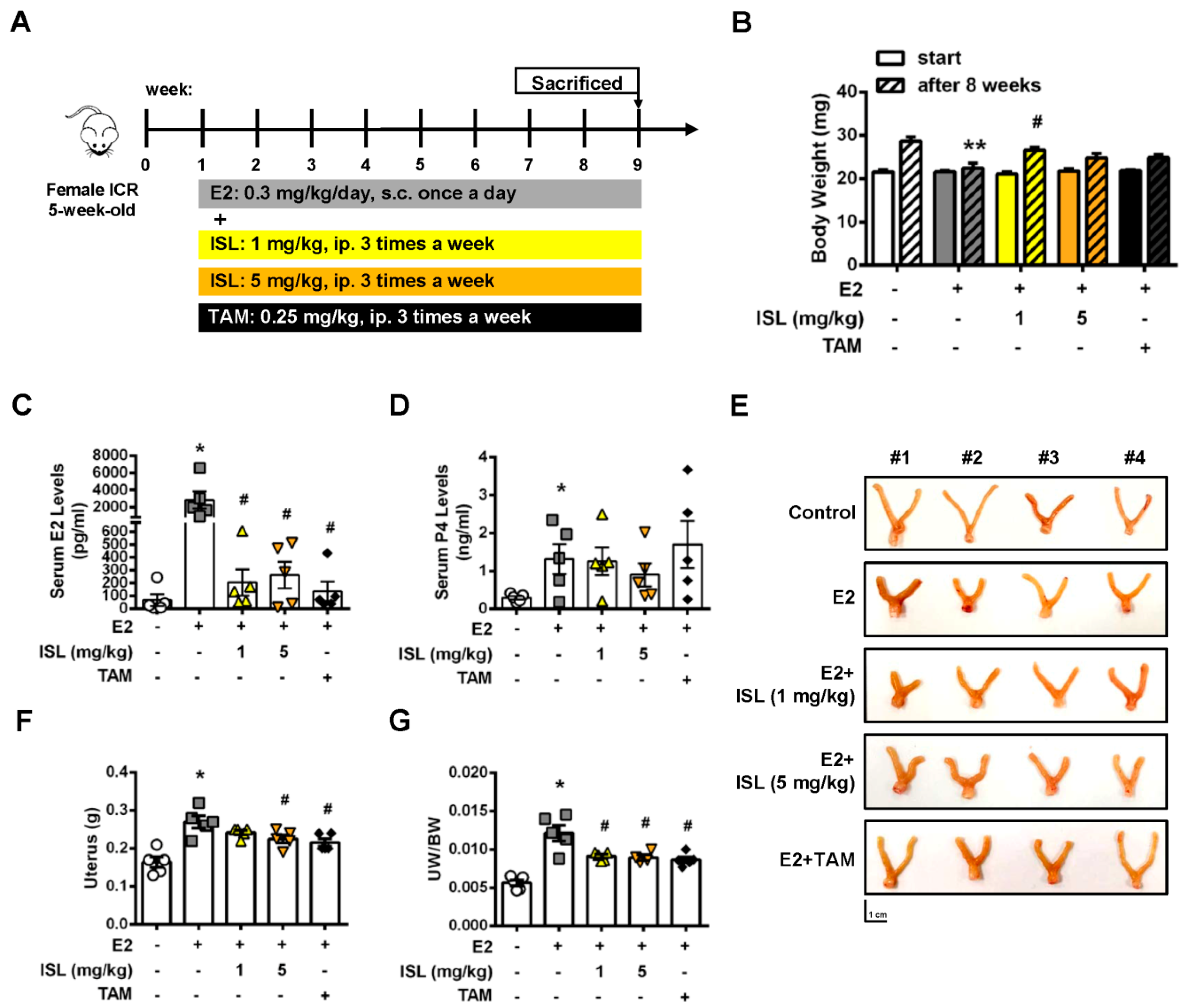 Cancers 11 01131 g007