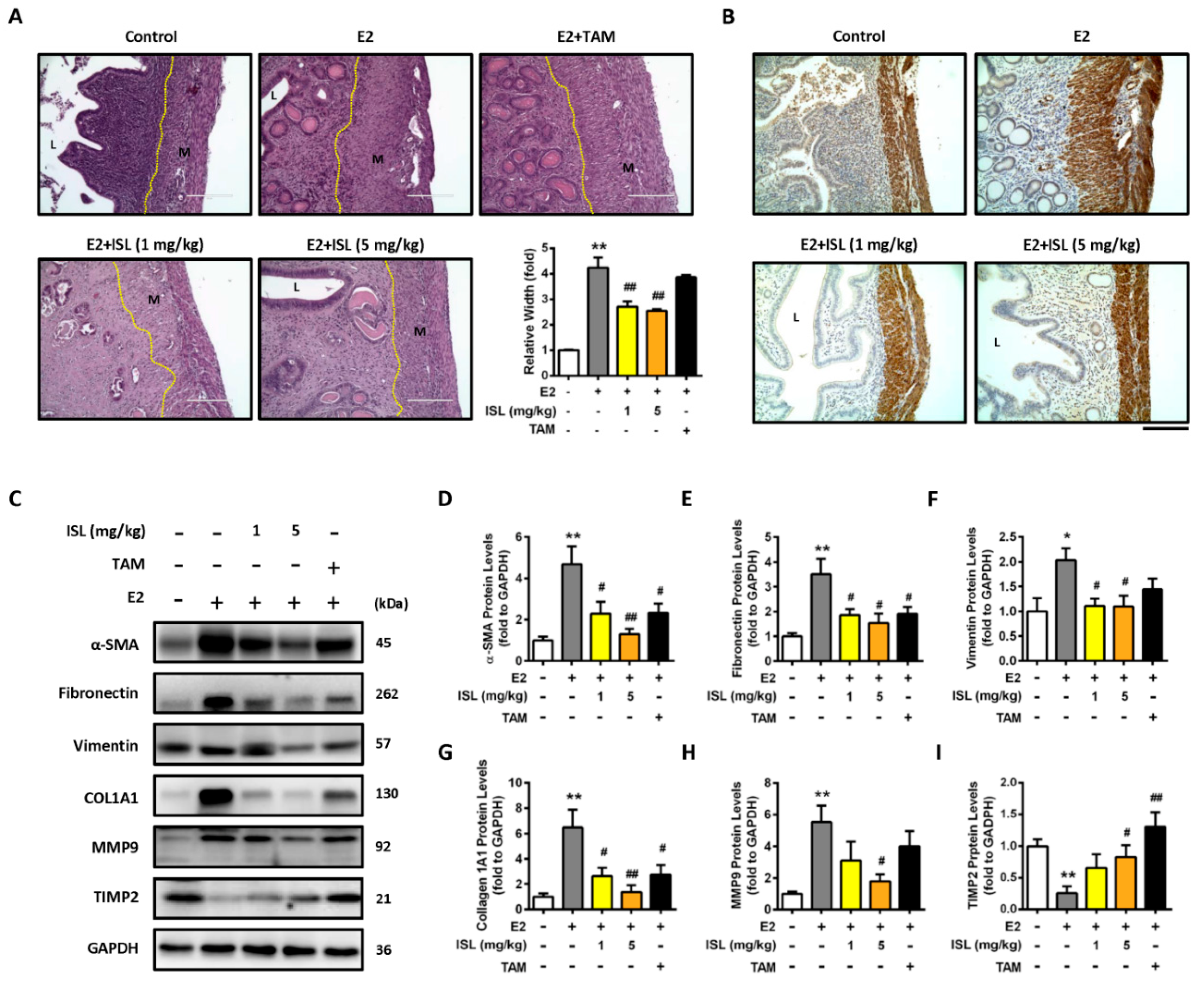 Cancers 11 01131 g008