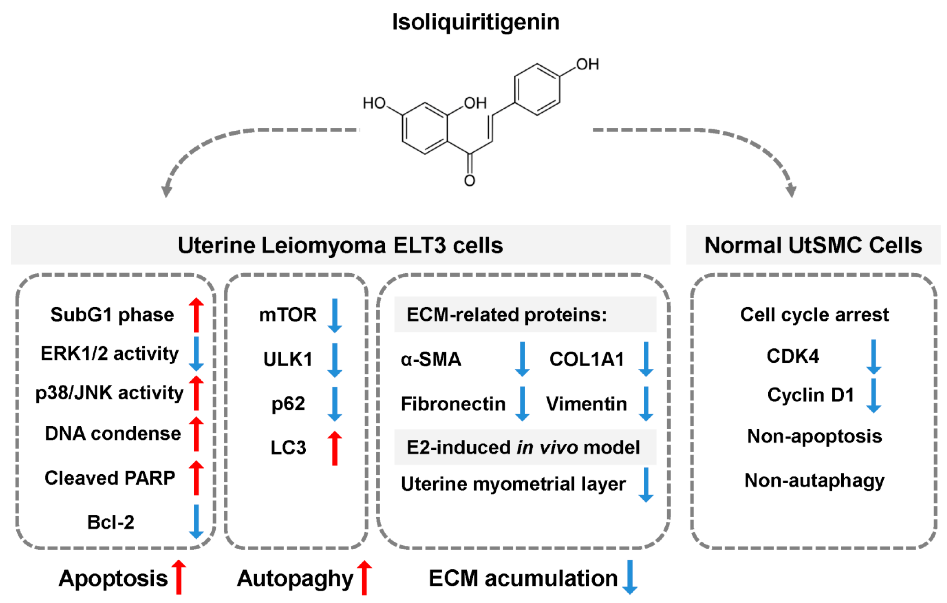Cancers 11 01131 g009