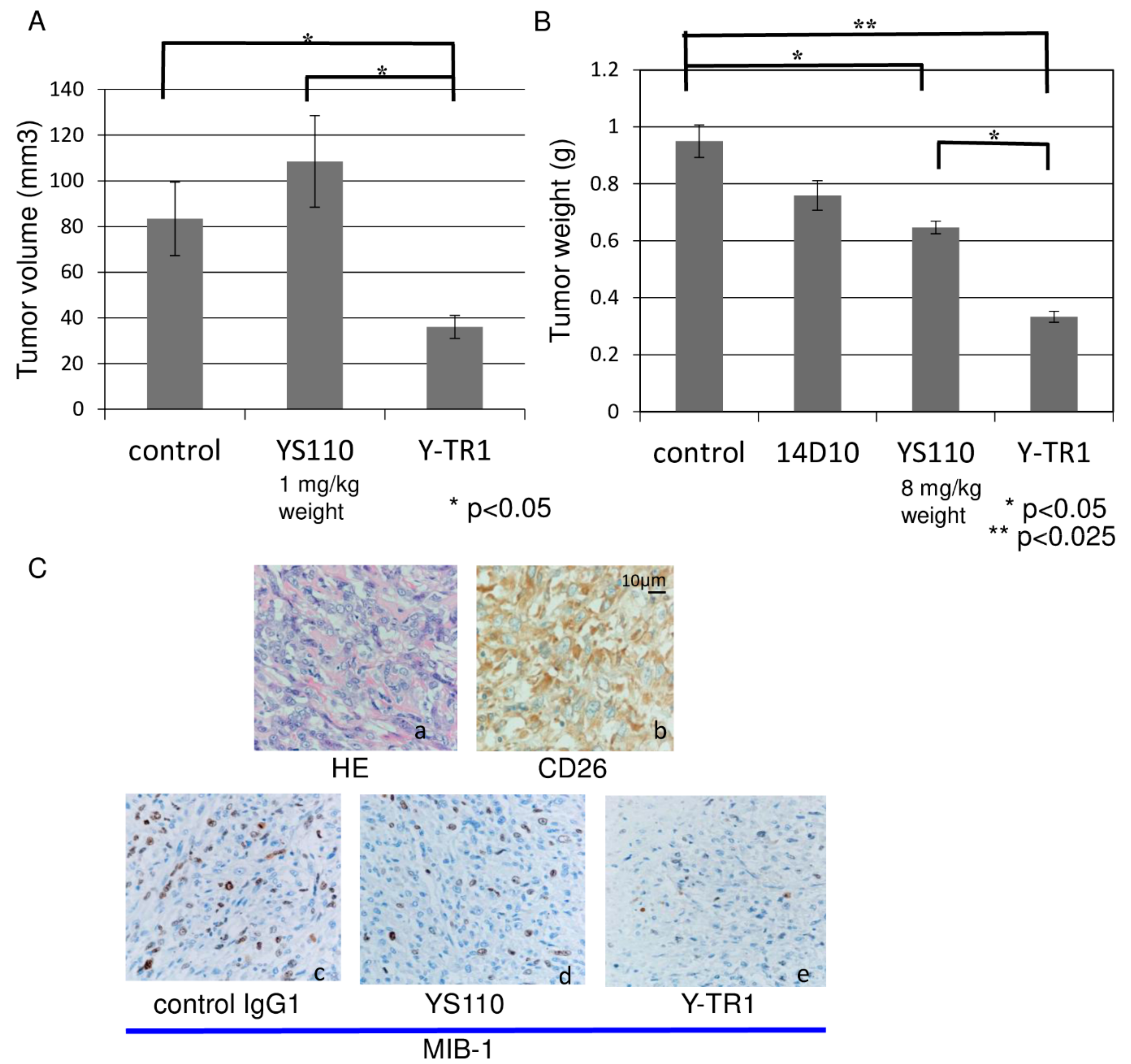 Cancers 11 01138 g007 Cancers 11 01138 g007
