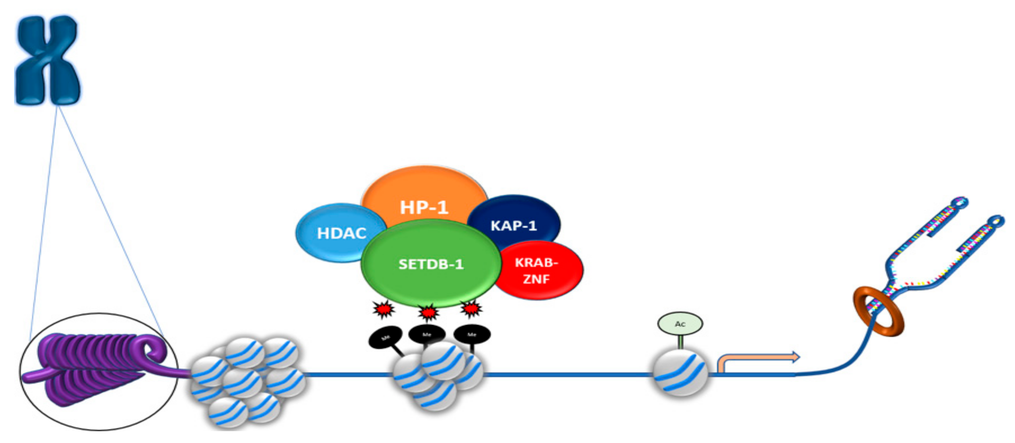 Cancers 11 01143 g003 Cancers 11 01143 g003