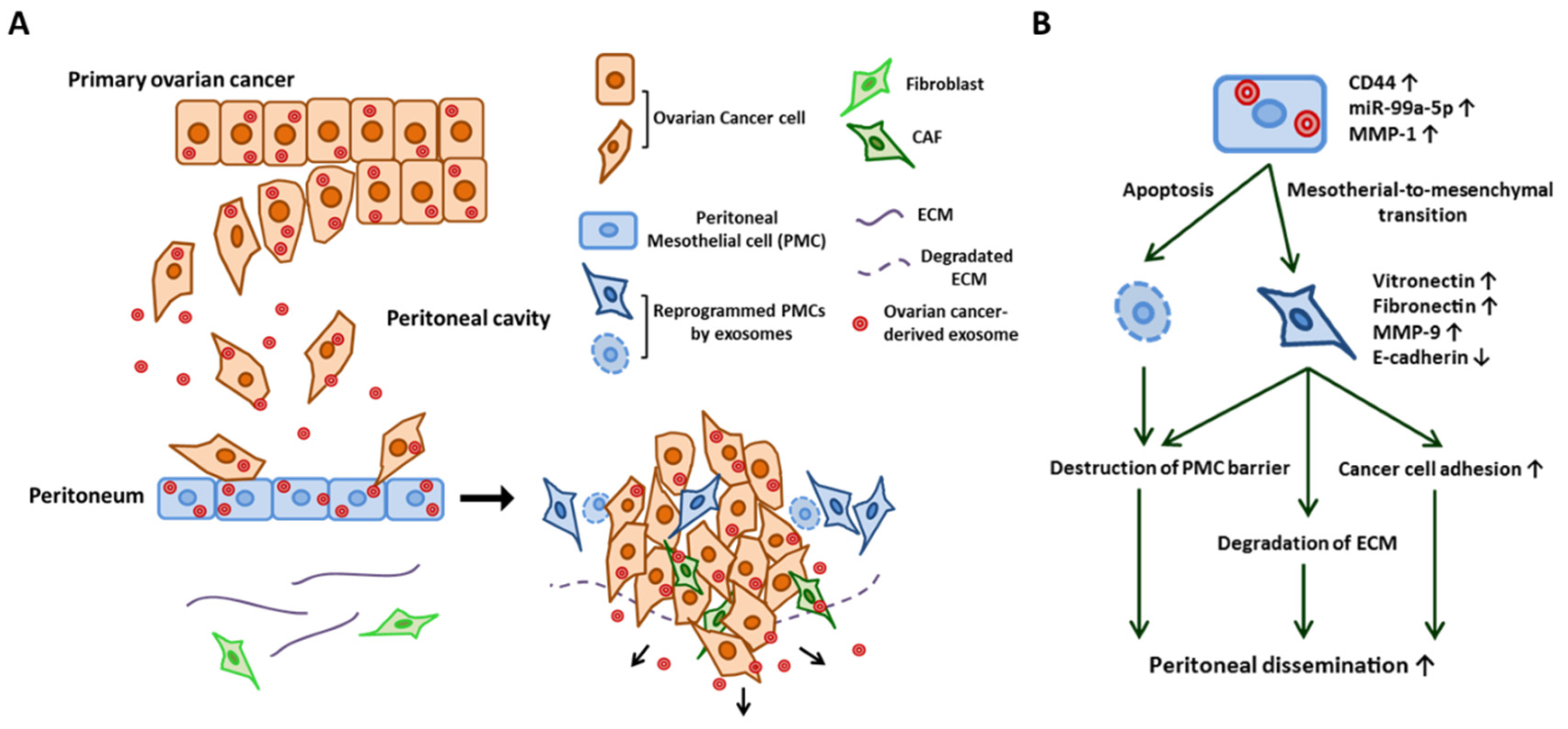 Cancers 11 01147 g002